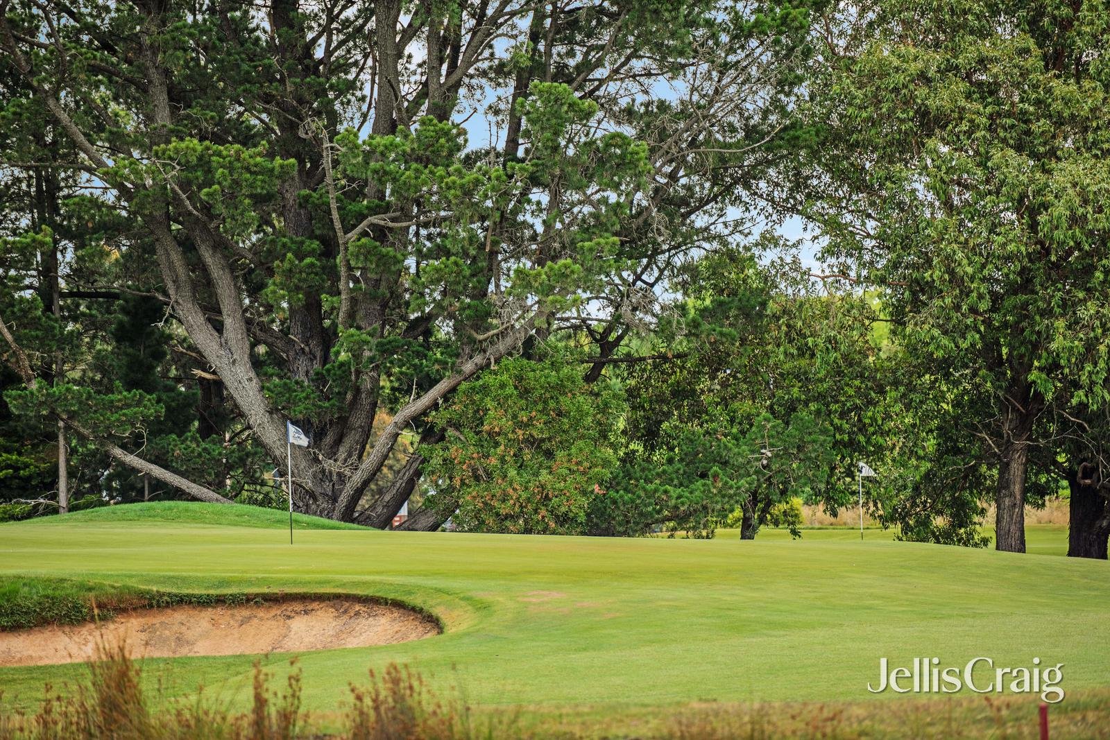 4 Aspect Parade, Alfredton image 5