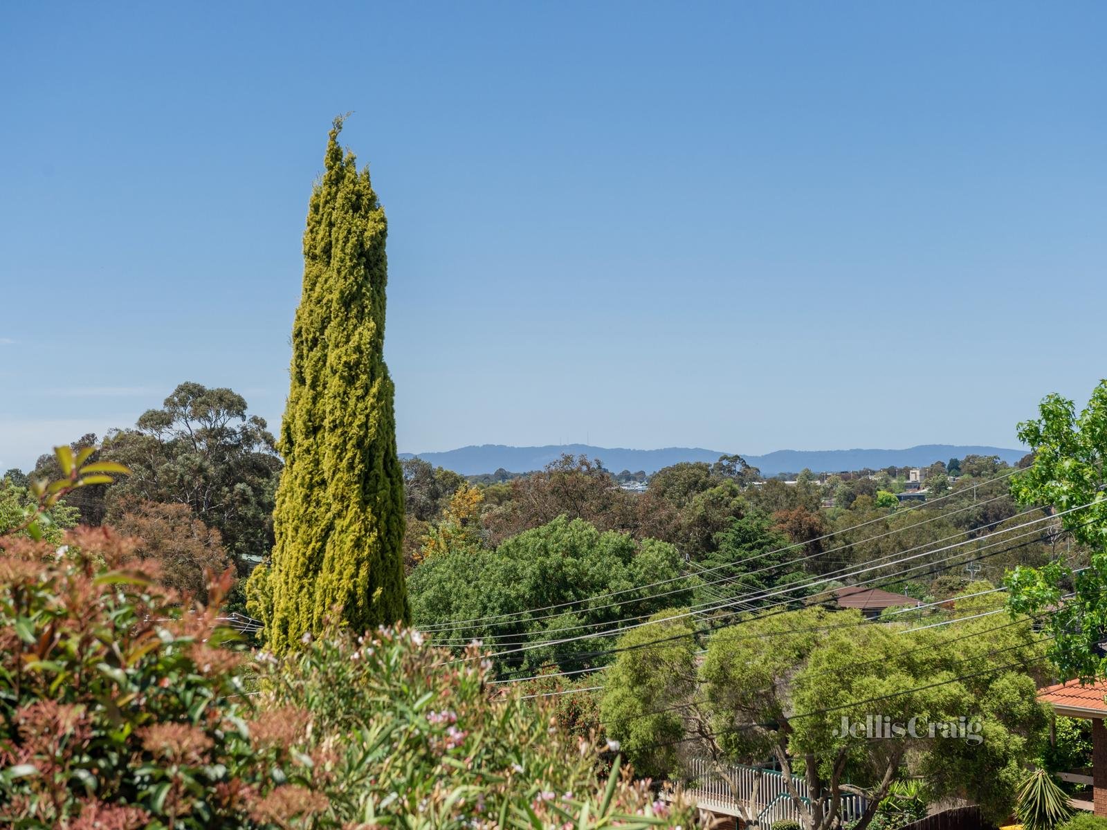 4 Atkins Avenue, Watsonia North image 11