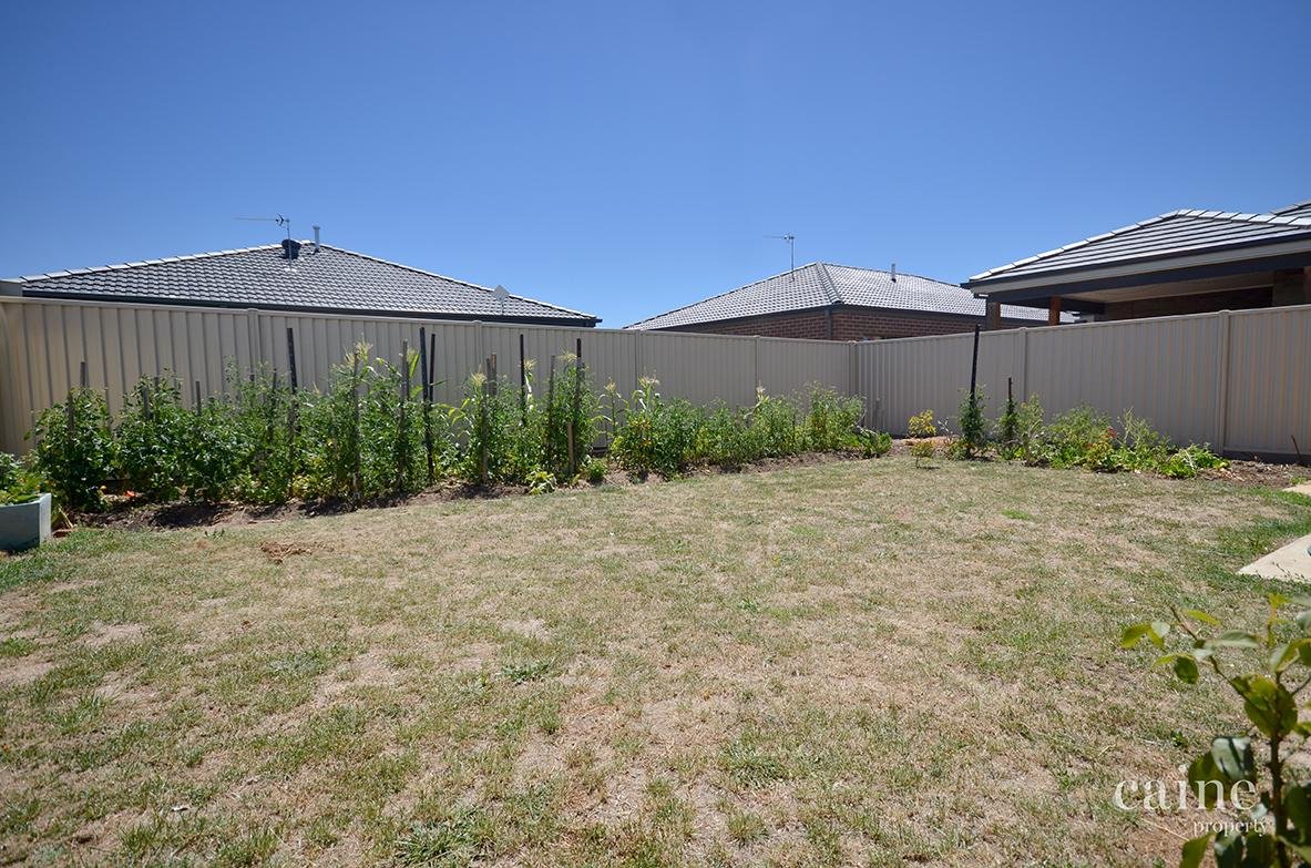 4 Bect Street, Sebastopol image 10