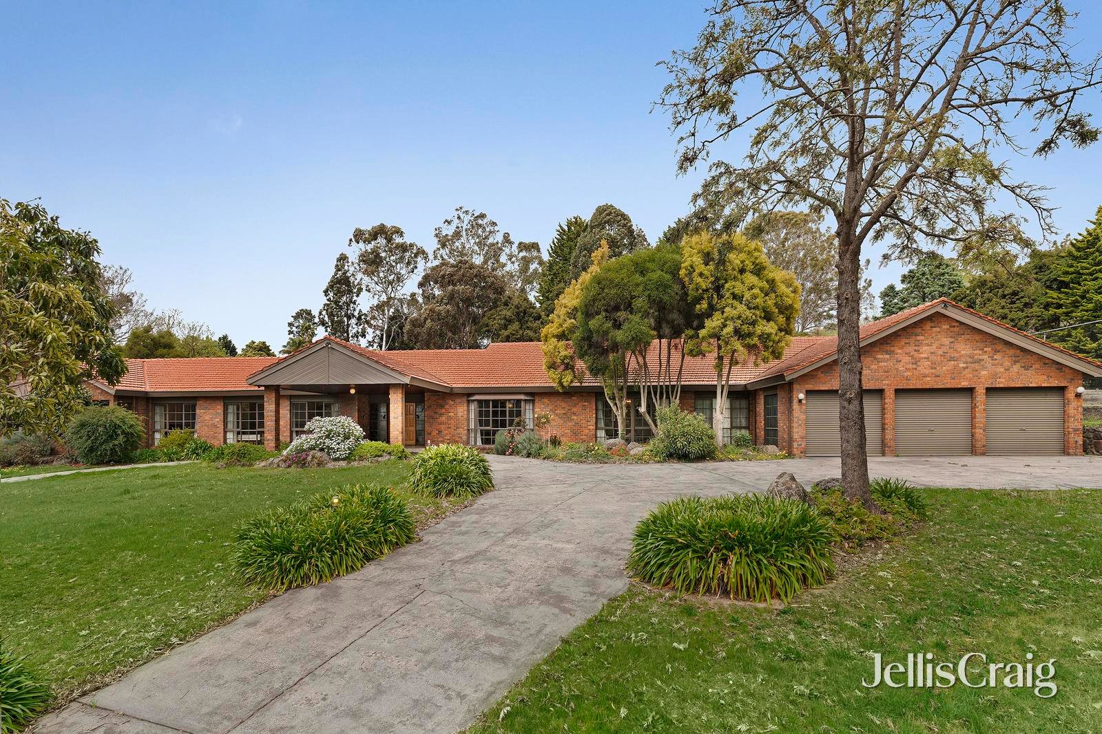 4 Berrima Road, Donvale image 1