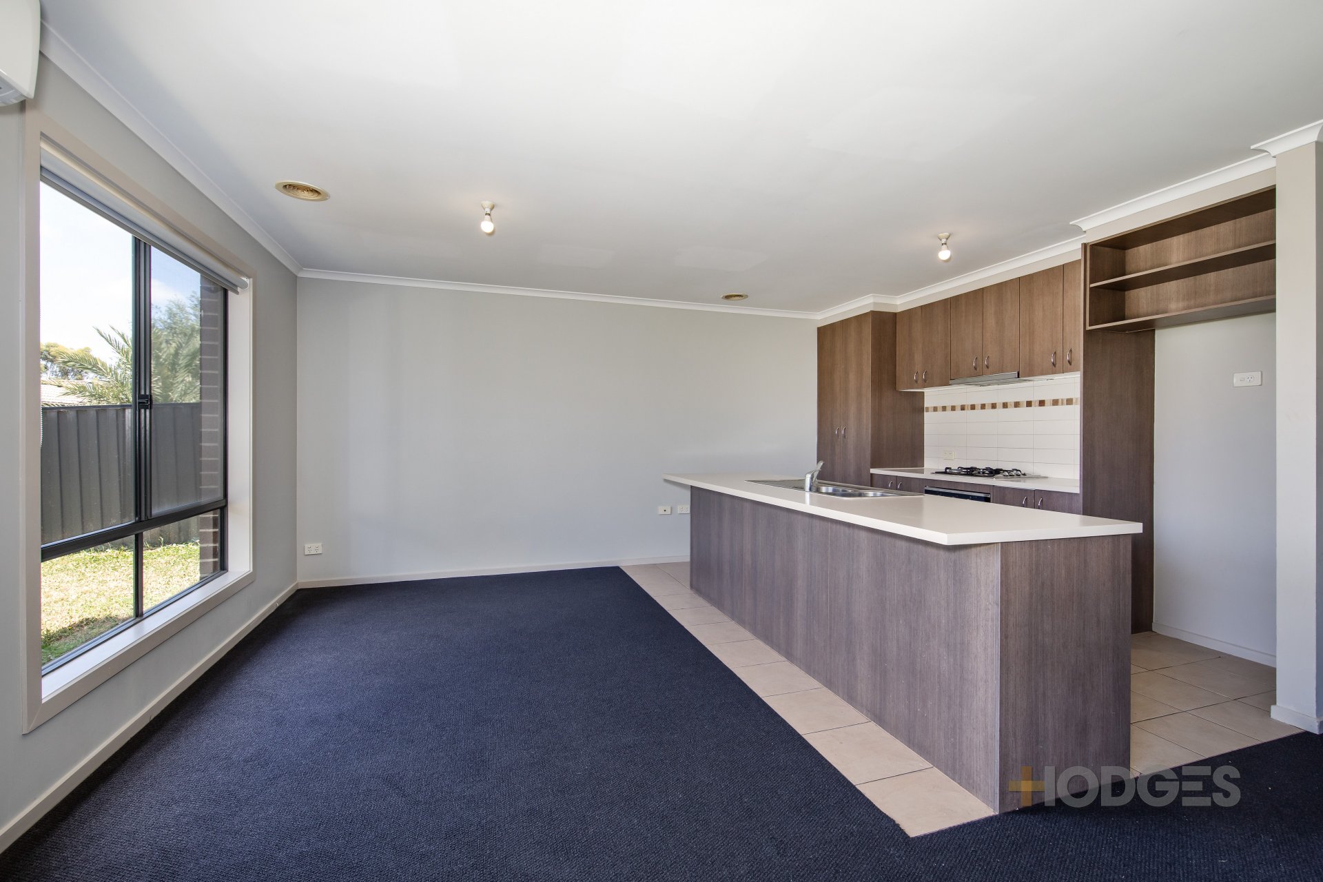 4 Billabong Crescent TARNEIT