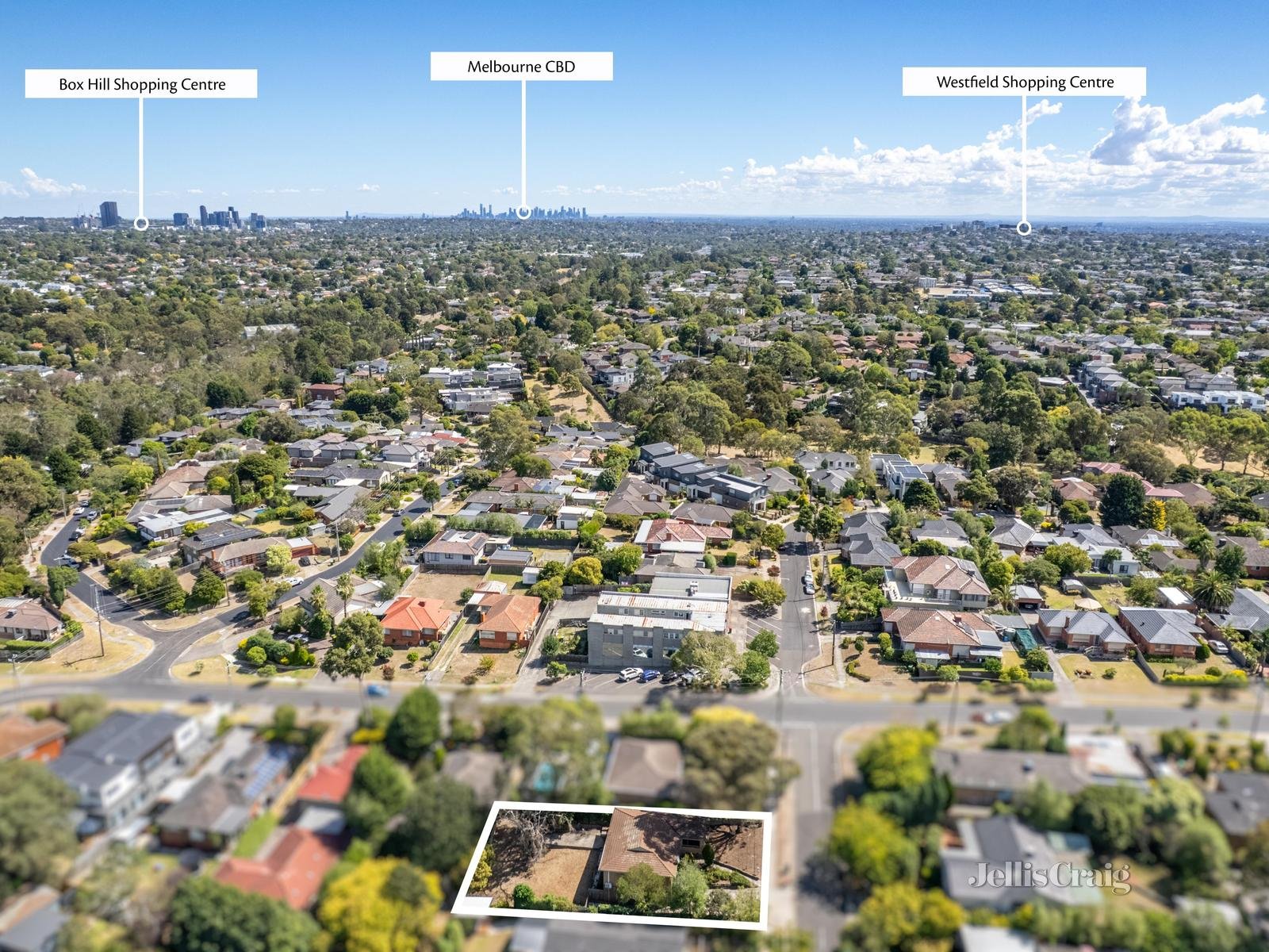 4 Cerberus Street, Donvale image 3