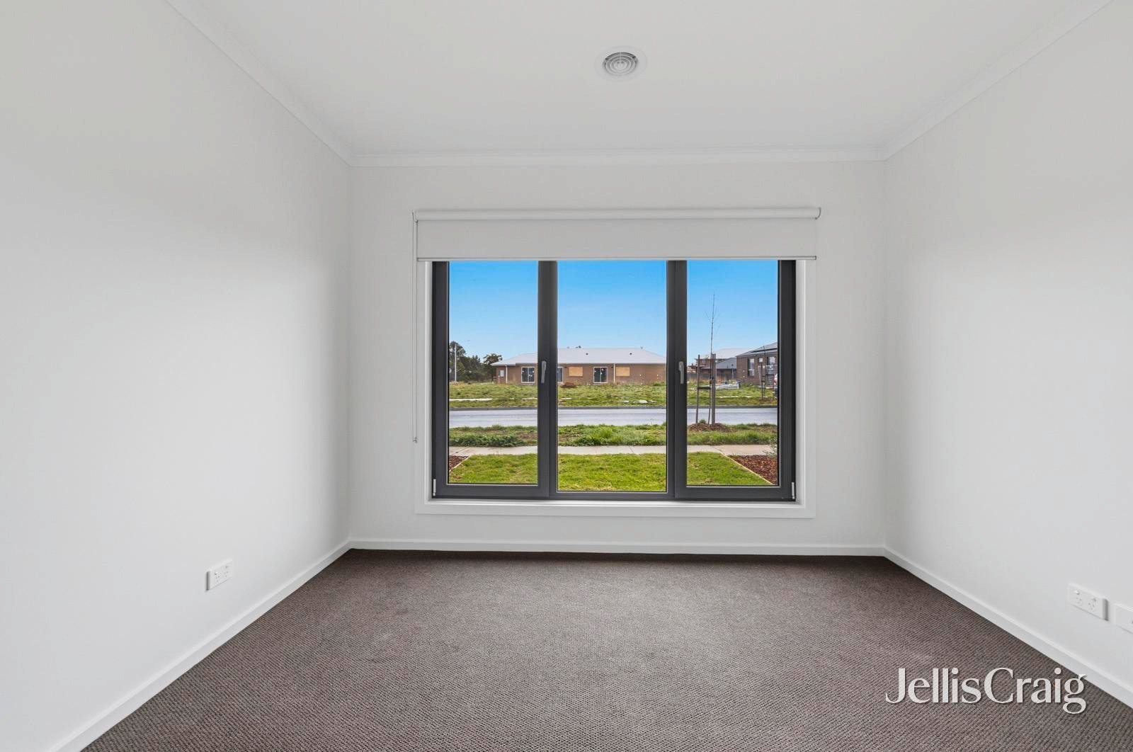 4 Coppleson Street, Bonshaw image 4