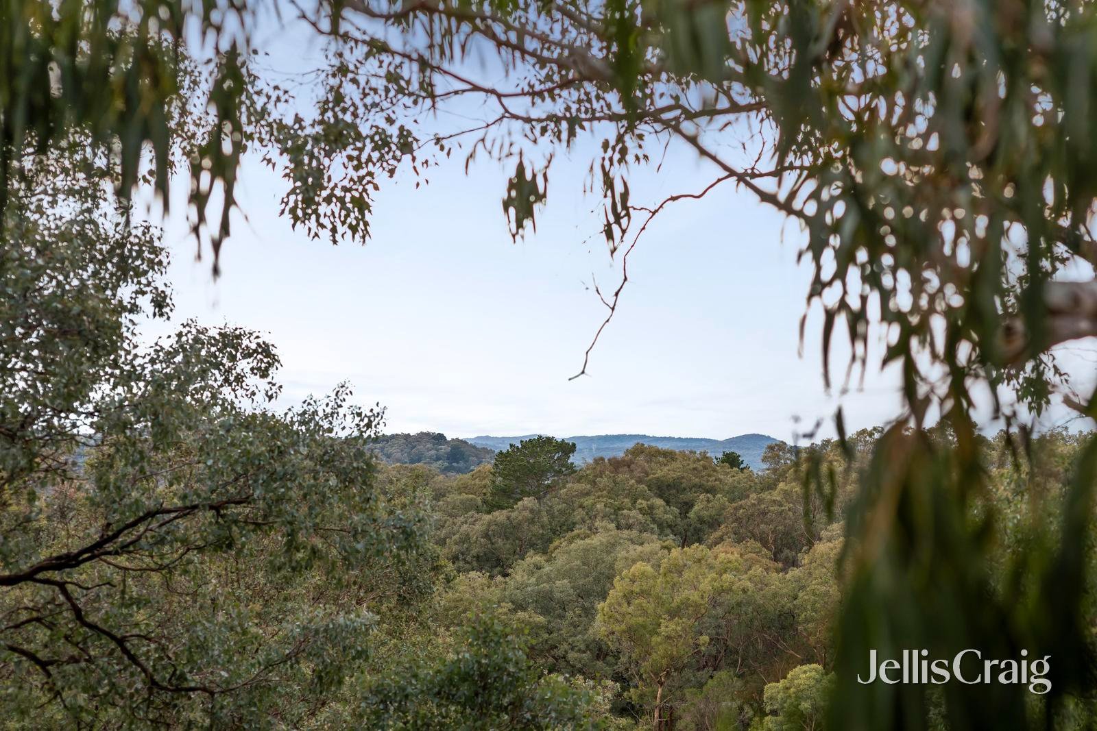 4 Diane Court, Warrandyte image 18