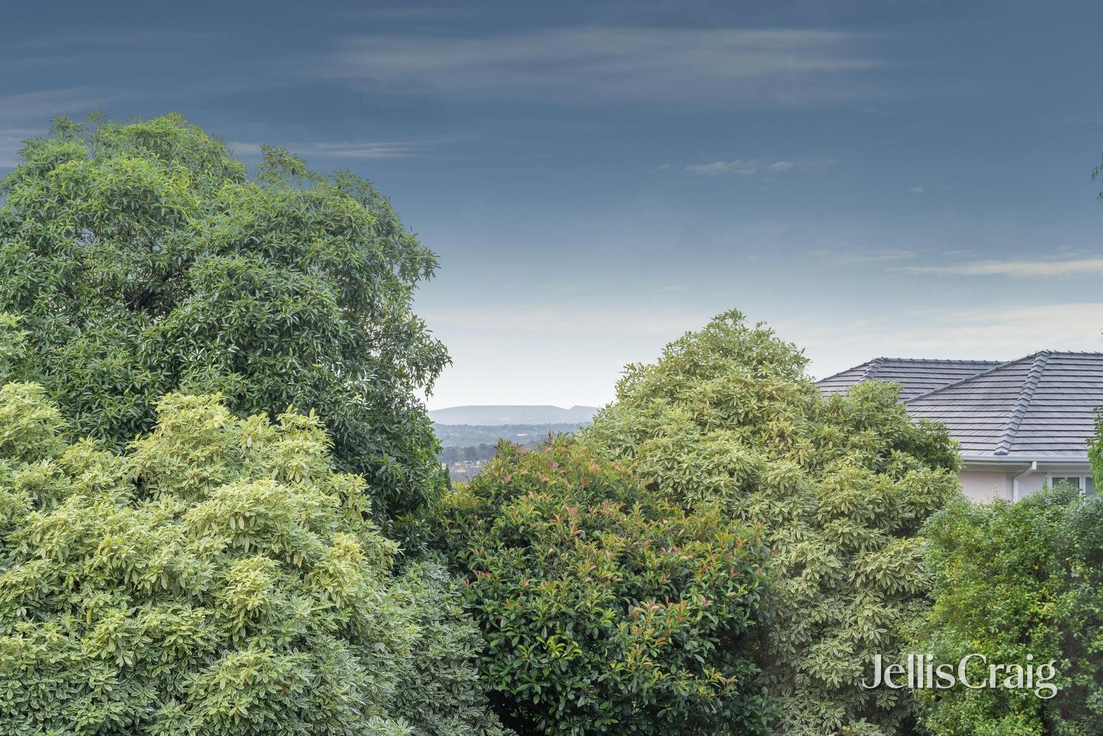 4 Elonara Court, Wheelers&nbsp;Hill image 20