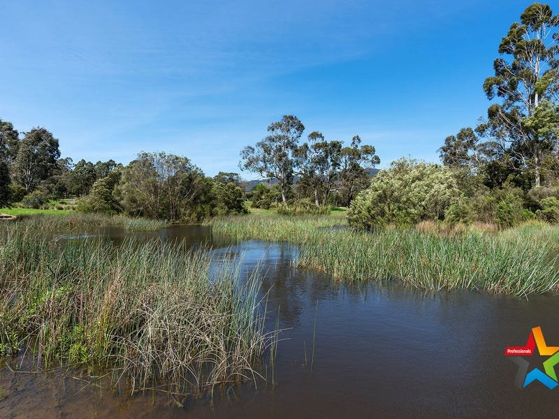 4 Fergerson Road, Kilsyth image 16