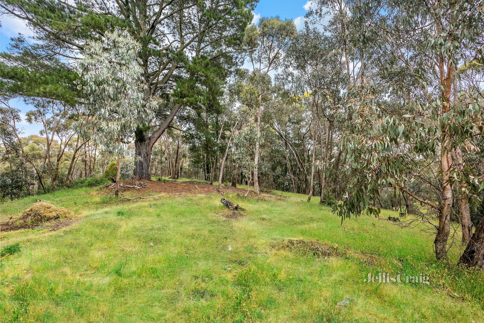 4 Golden Springs Avenue, Hepburn Springs image 8