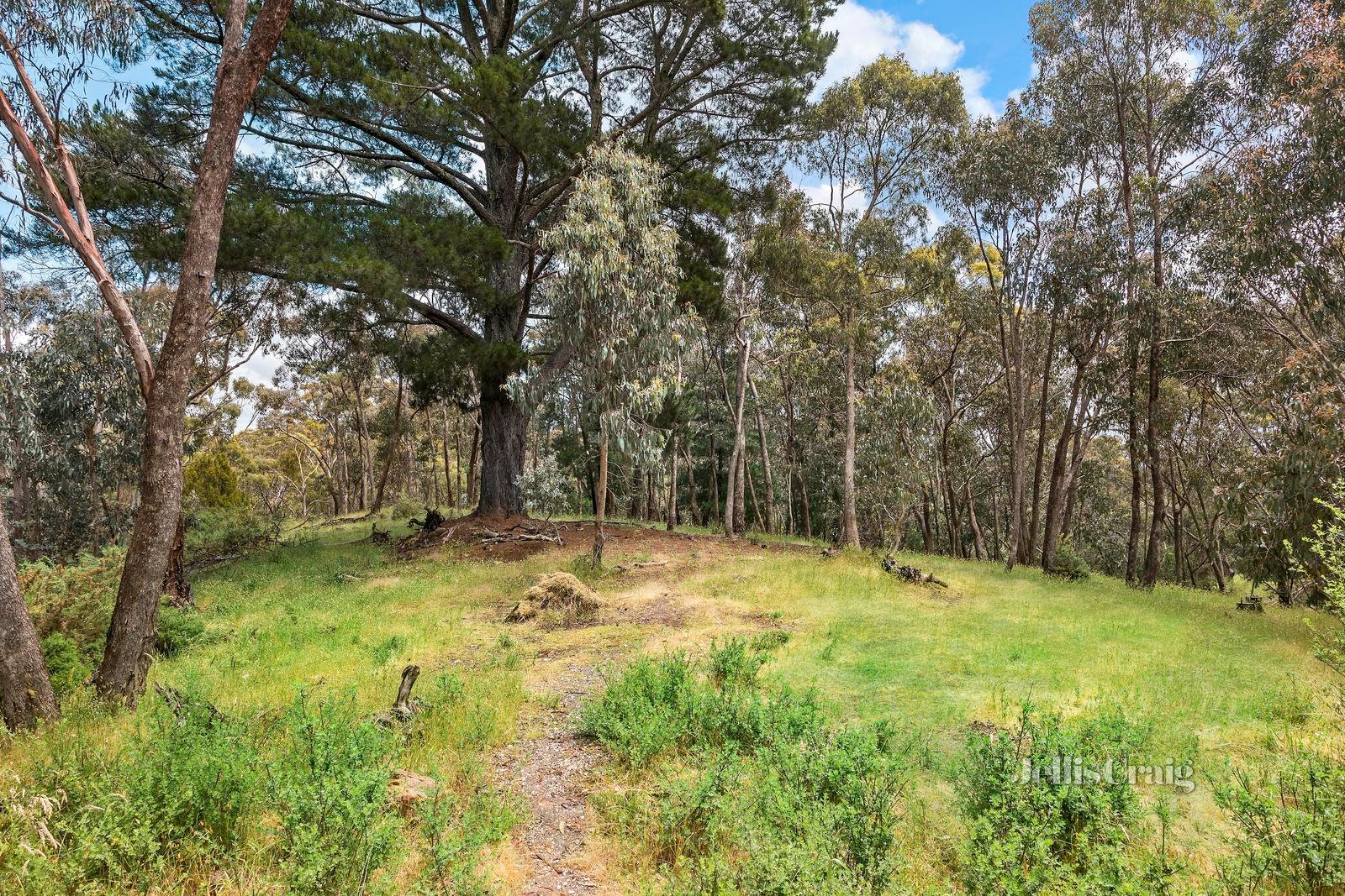 4 Golden Springs Avenue, Hepburn Springs image 9