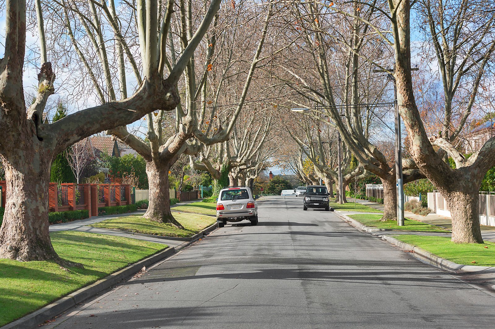 4 Grange Avenue, Canterbury image 10