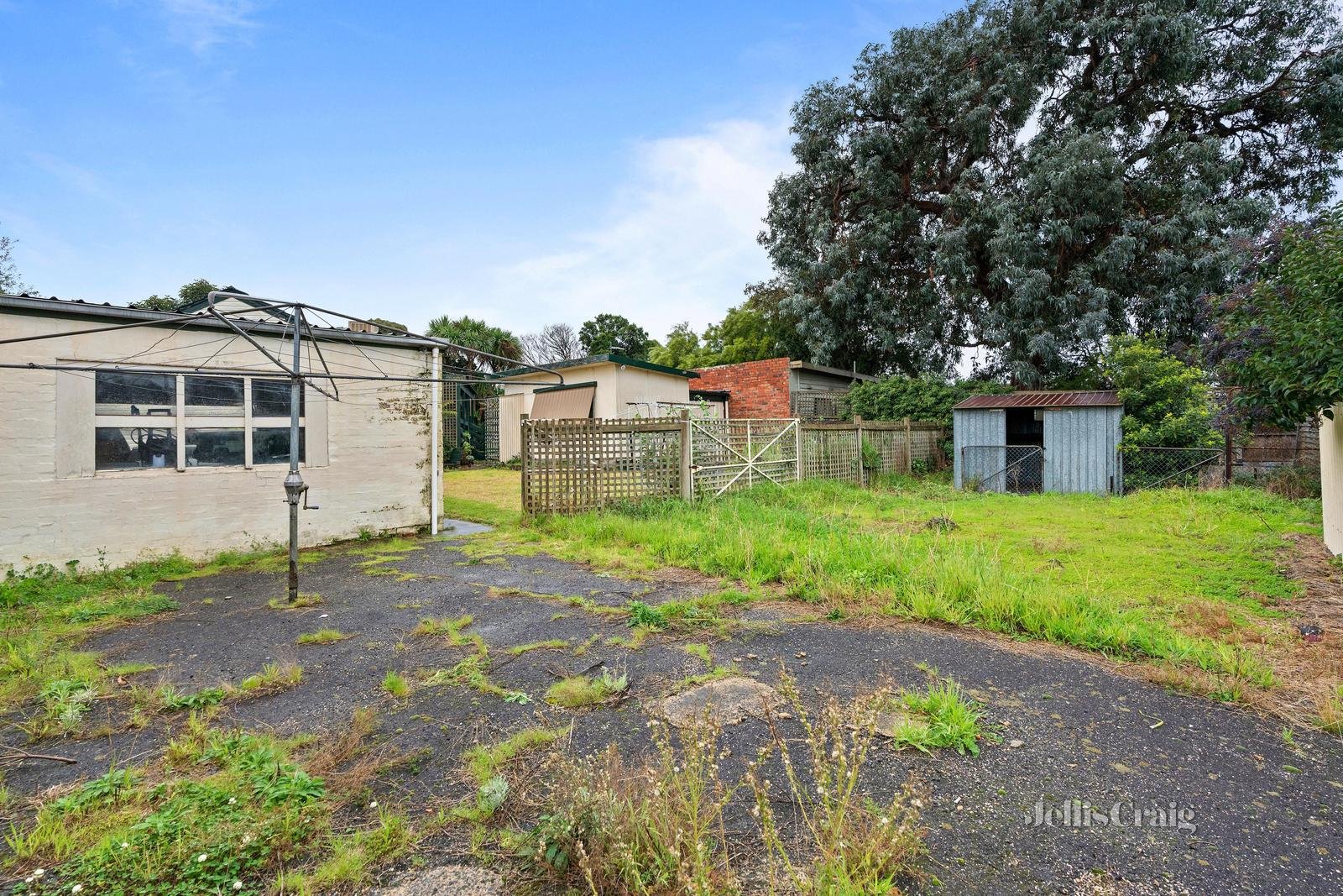 4 Hamilton Crescent, Doncaster&nbsp;East image 6