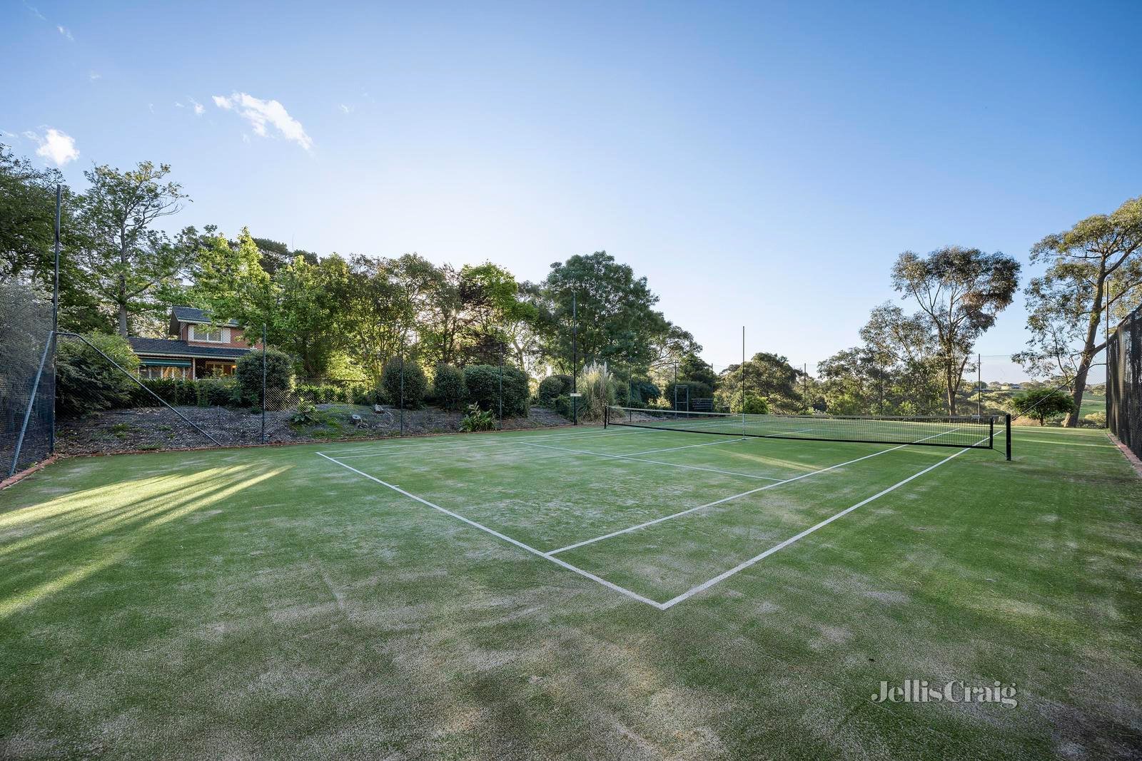 4 Homestead Road, Wonga Park image 6