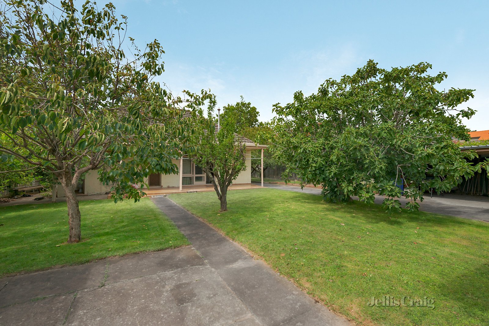 4 Judd Street, Camberwell image 5