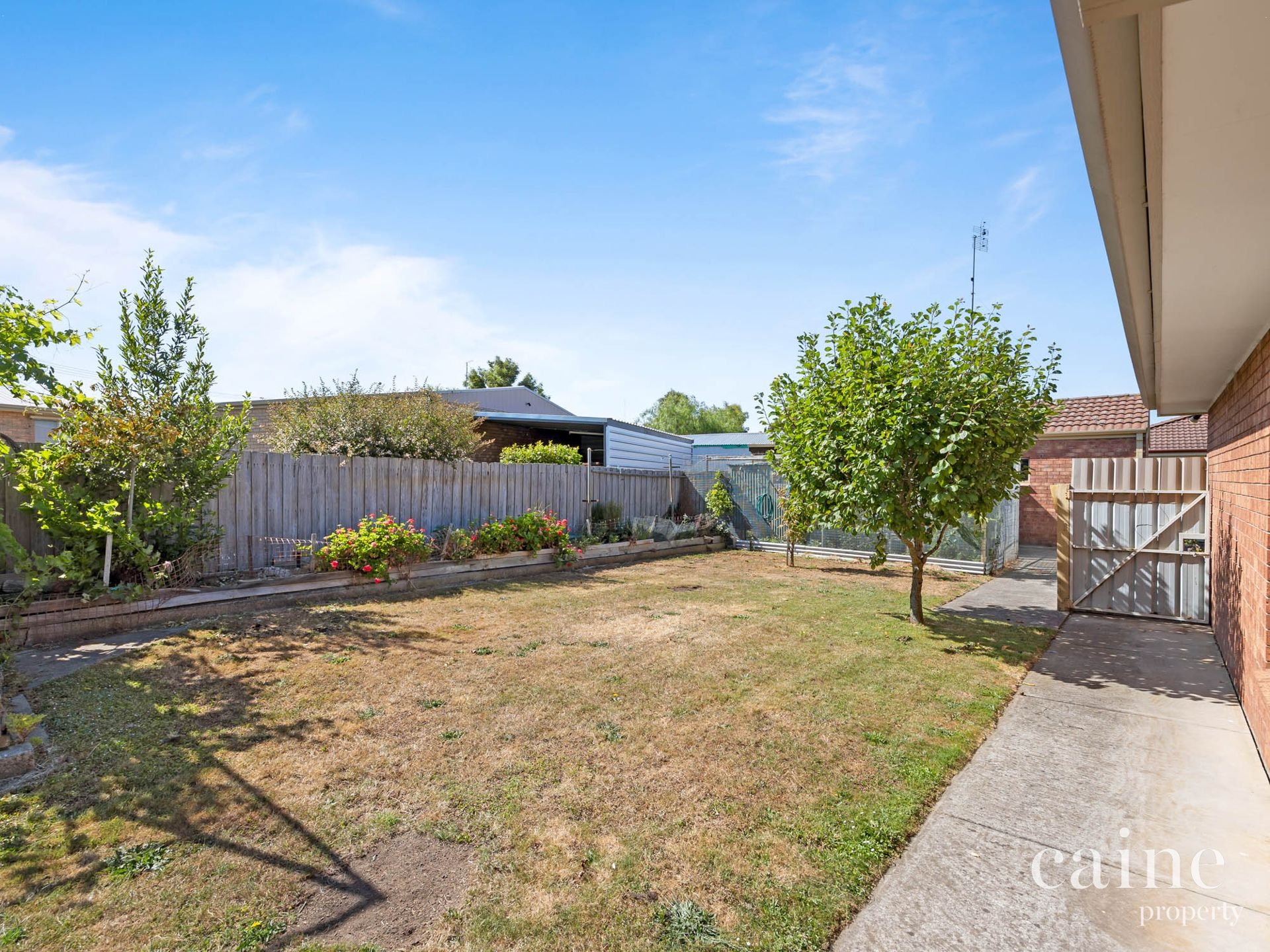 4 Kentucky Court, Delacombe image 13