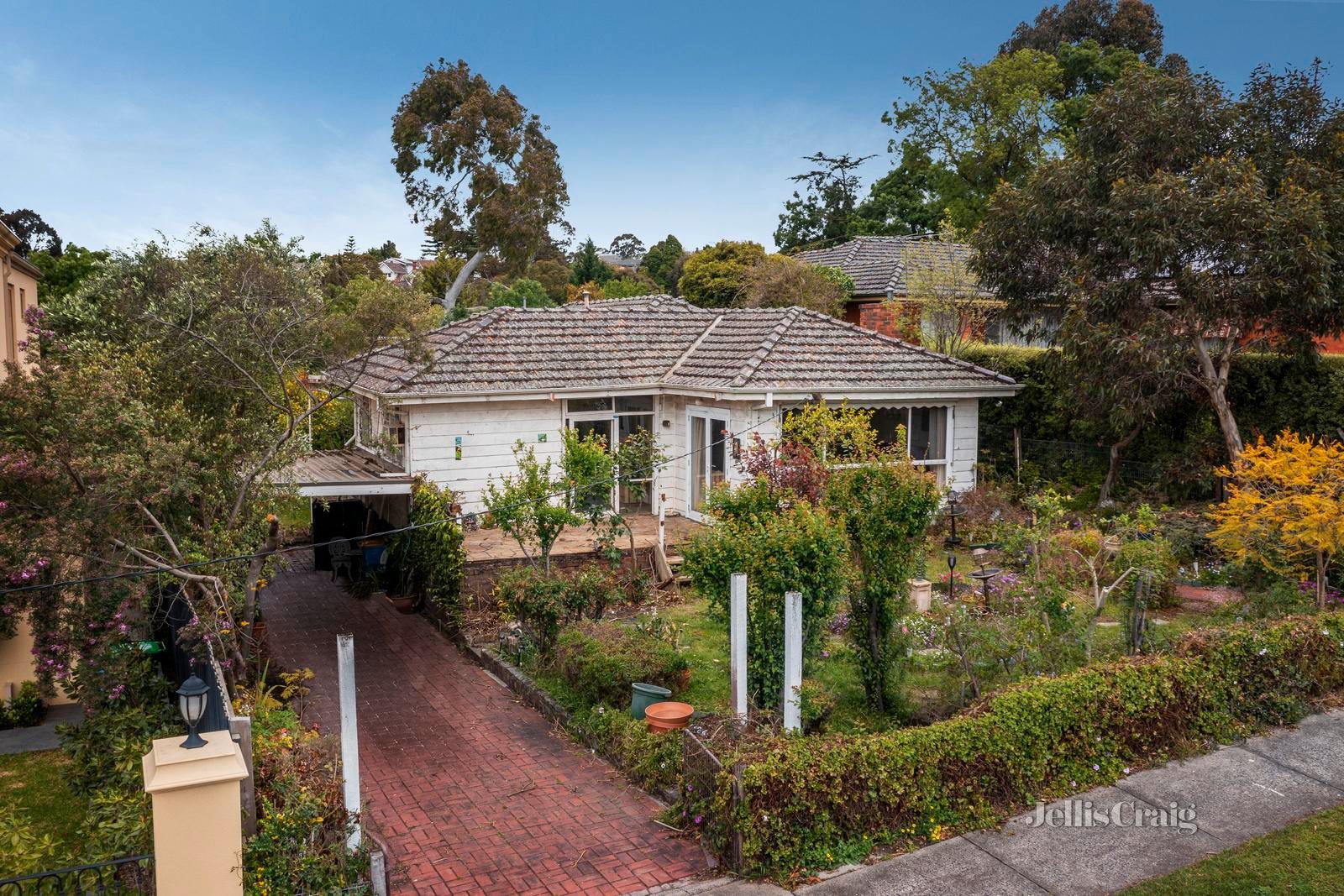 4 Lime Avenue, Balwyn North image 7