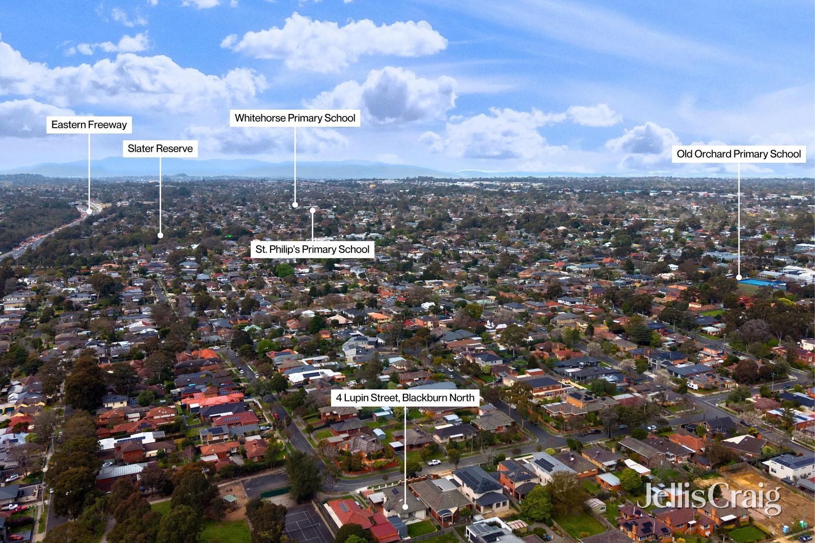 4 Lupin Street, Blackburn&nbsp;North image 22