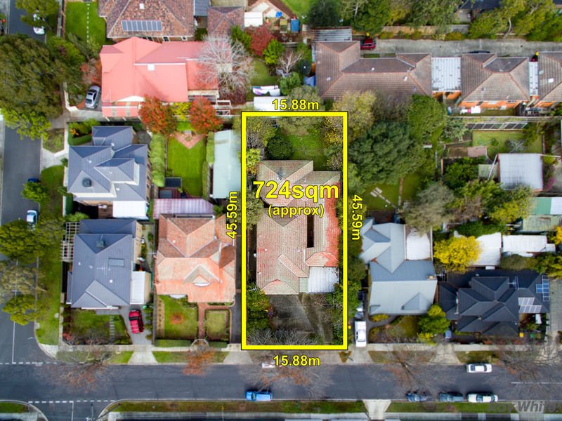 4 Margaret St, Box Hill image 6