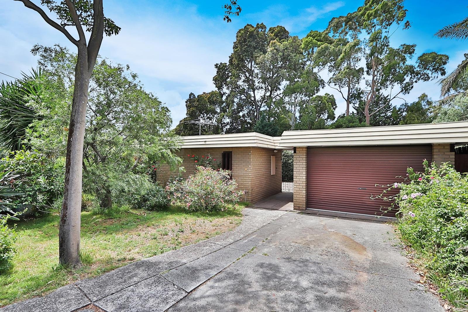 4 Melaleuca Avenue, Templestowe Lower image 1