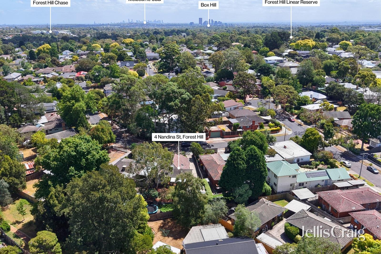 4 Nandina Street, Forest&nbsp;Hill image 16