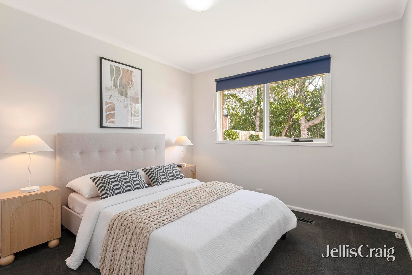 4 Paterson Street, Croydon North image 7