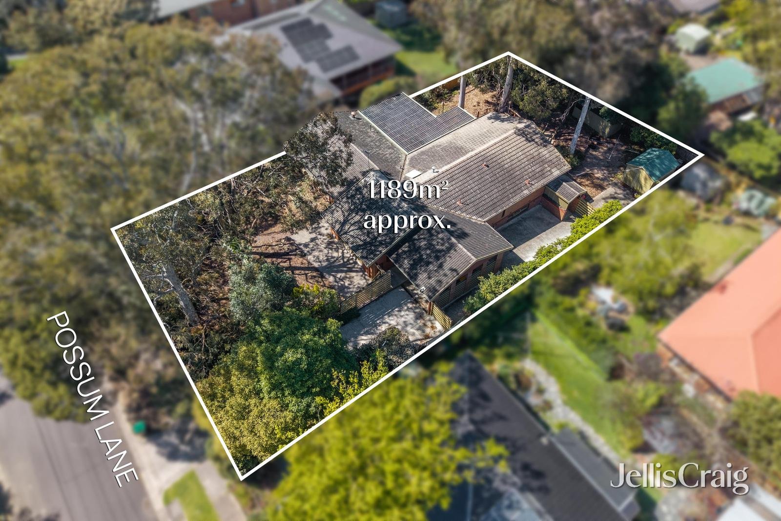 4 Possum Lane, Heathmont image 12