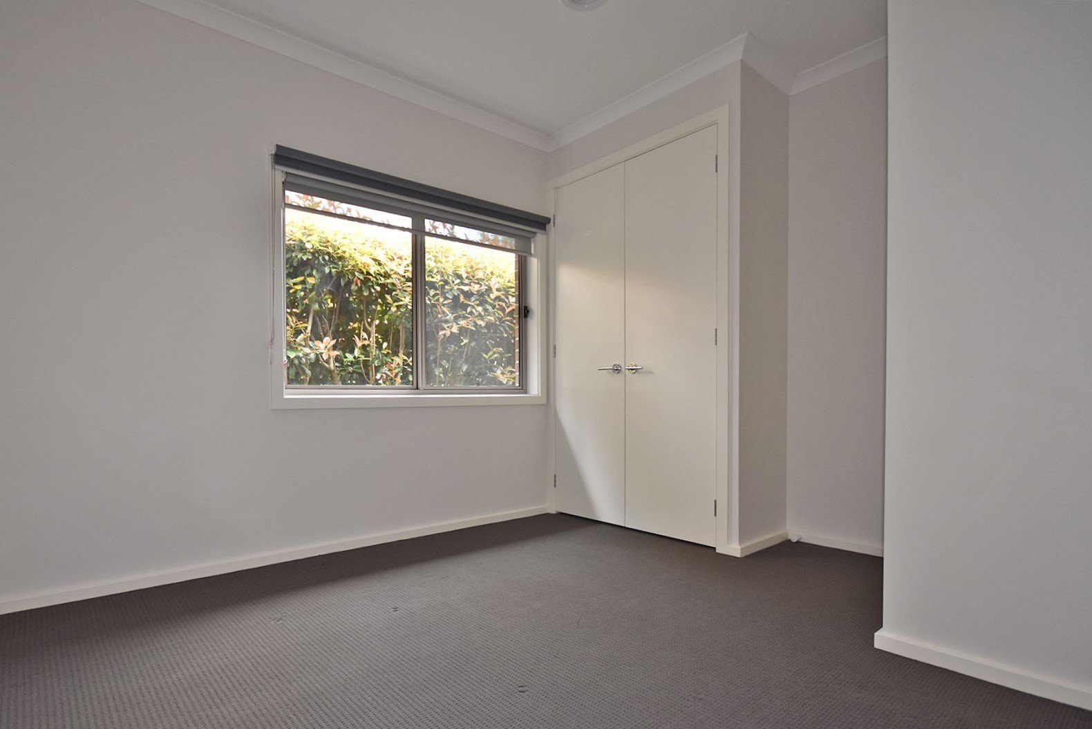 4 Reska Place, Mooroolbark image 6