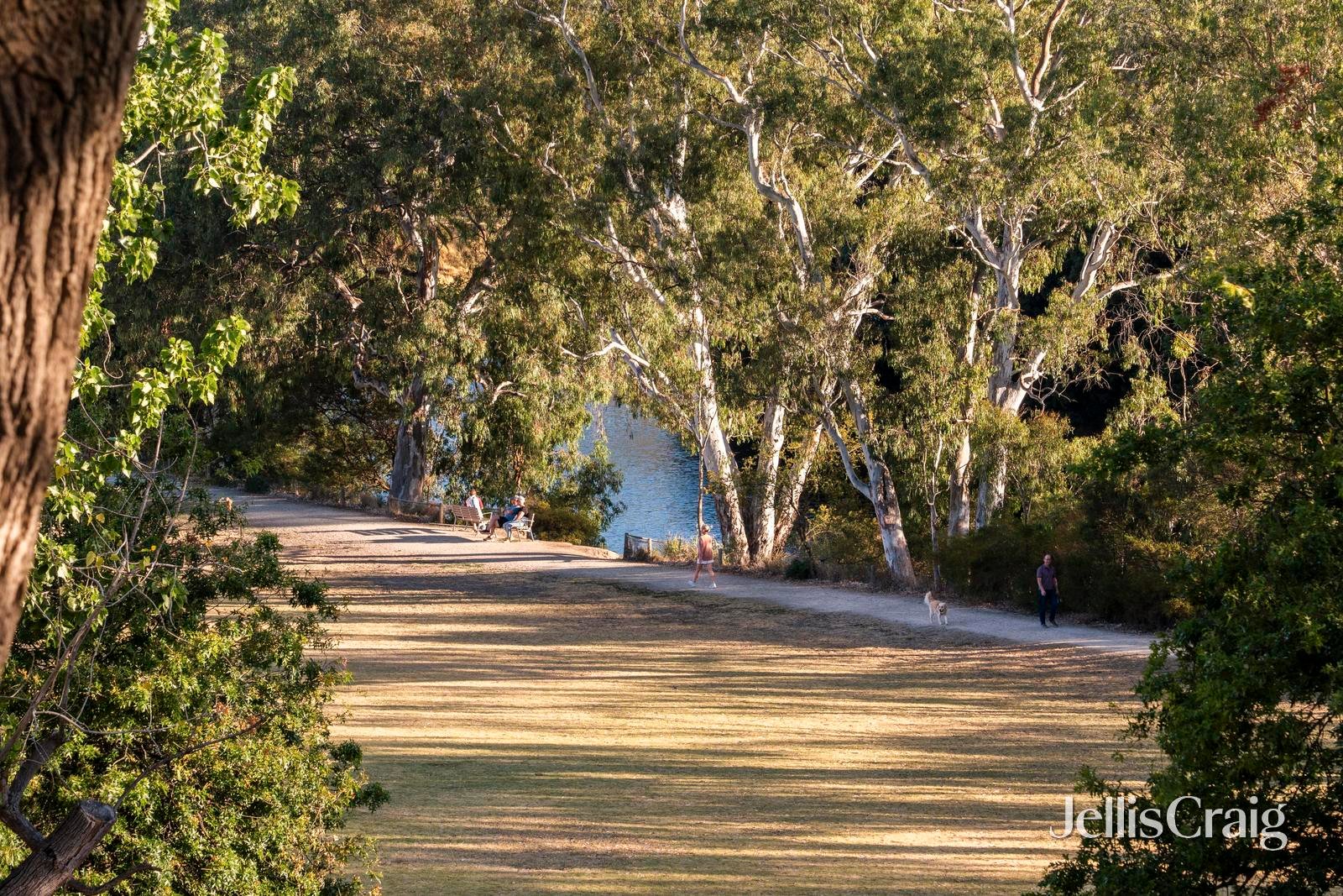 4 Riversdale Court, Hawthorn image 26