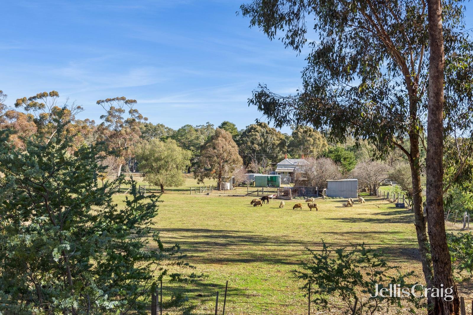 4 Roberts Road, Welshmans&nbsp;Reef image 3