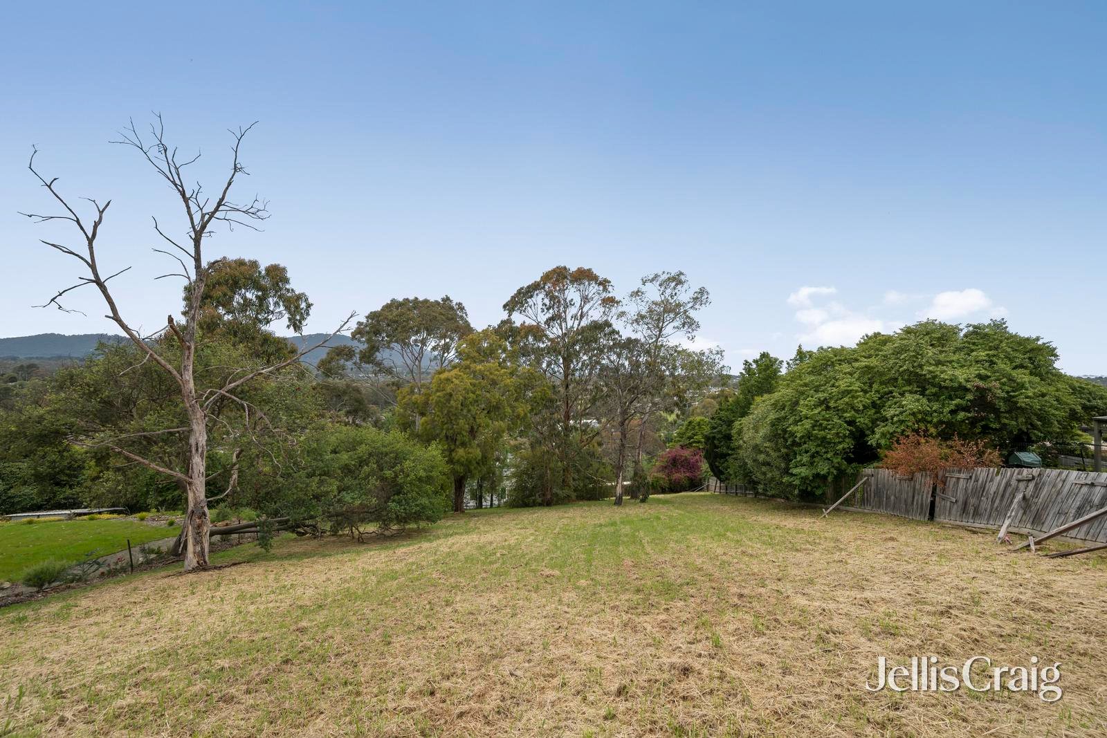 4 Struan Avenue, Mooroolbark image 3