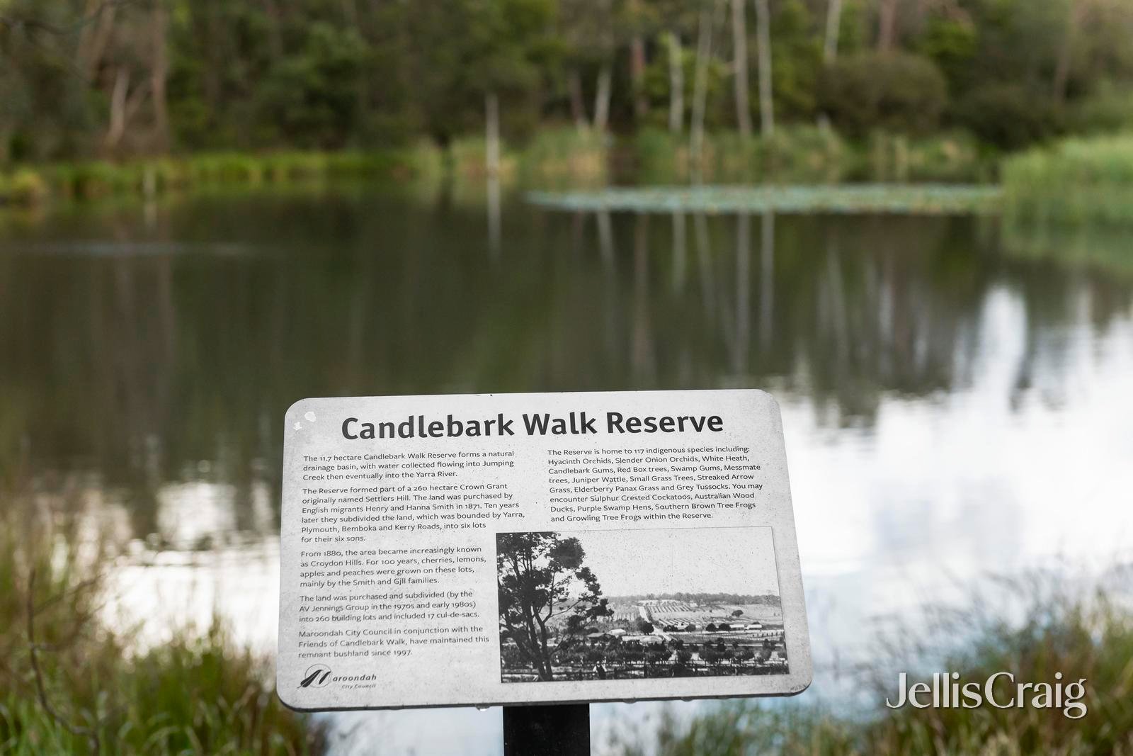 4 Timberview Terrace, Croydon Hills image 24