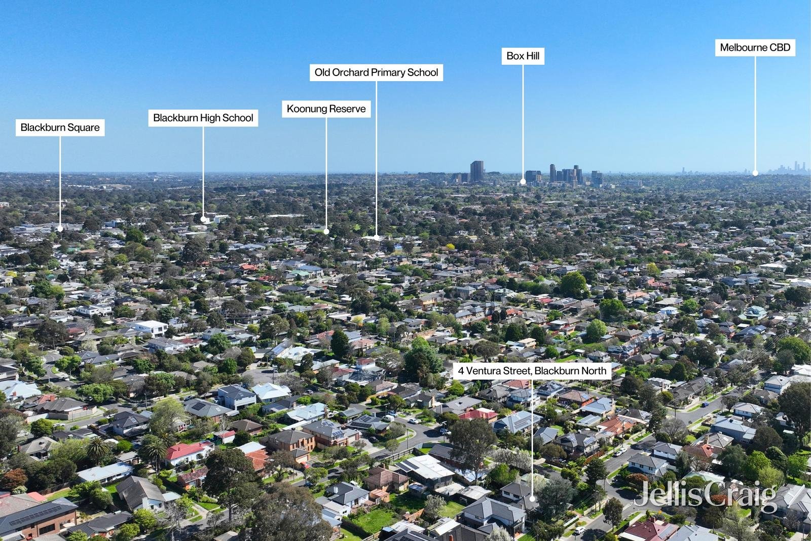 4 Ventura Street, Blackburn&nbsp;North image 18