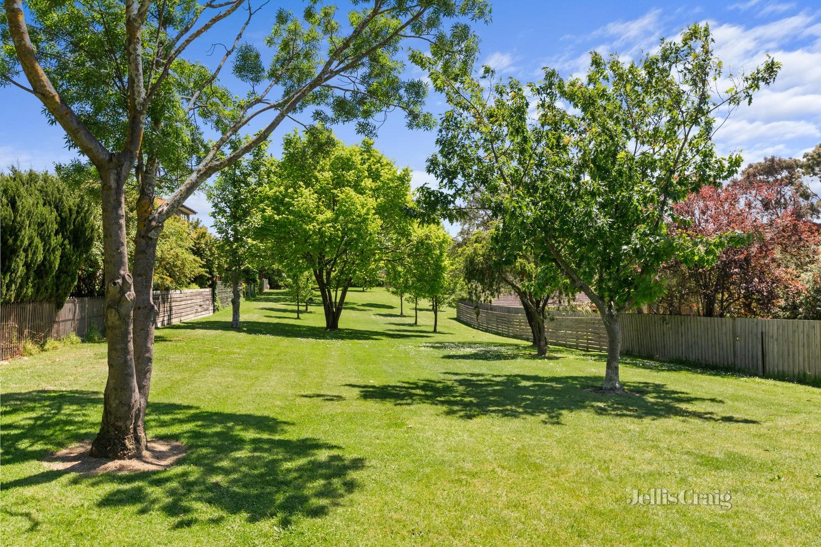 4 Watling Terrace, Doncaster East image 12