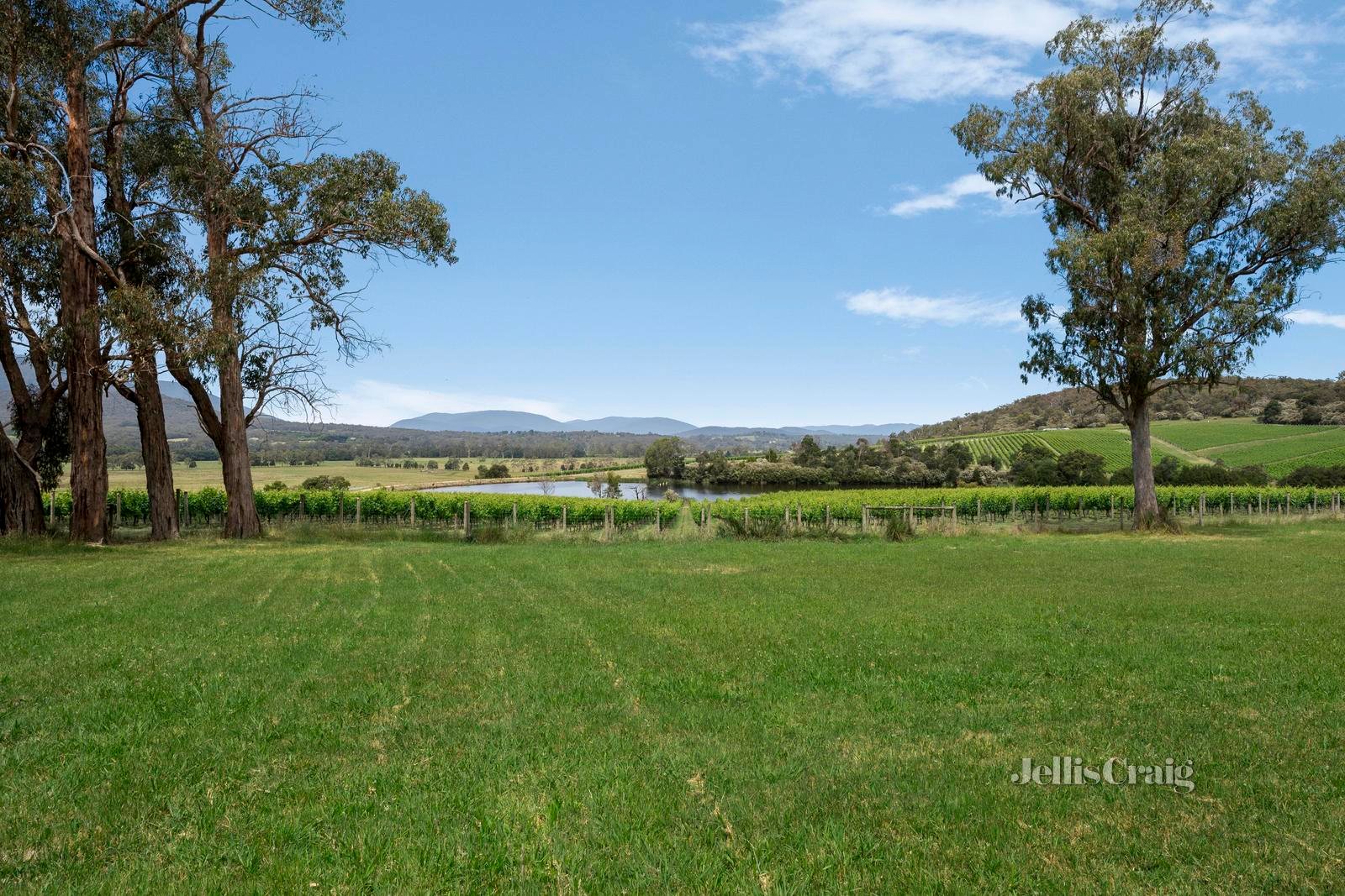 4 Yarraloch Way, Gruyere image 15