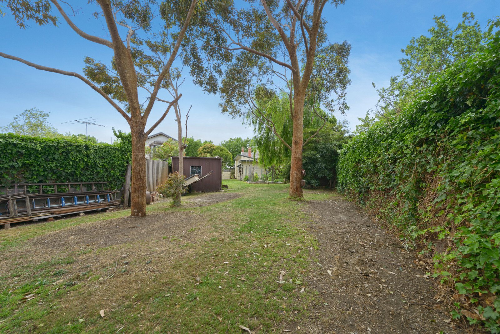 40 Albany Crescent, Surrey Hills image 6