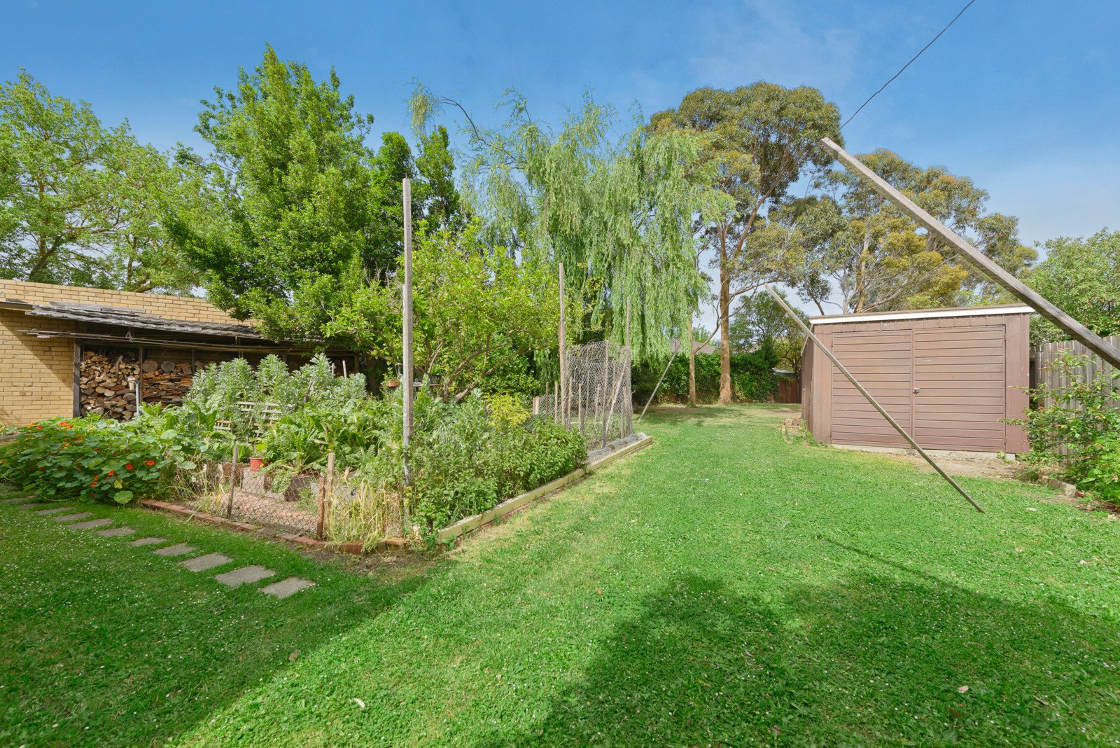 40 Albany Crescent, Surrey Hills image 7