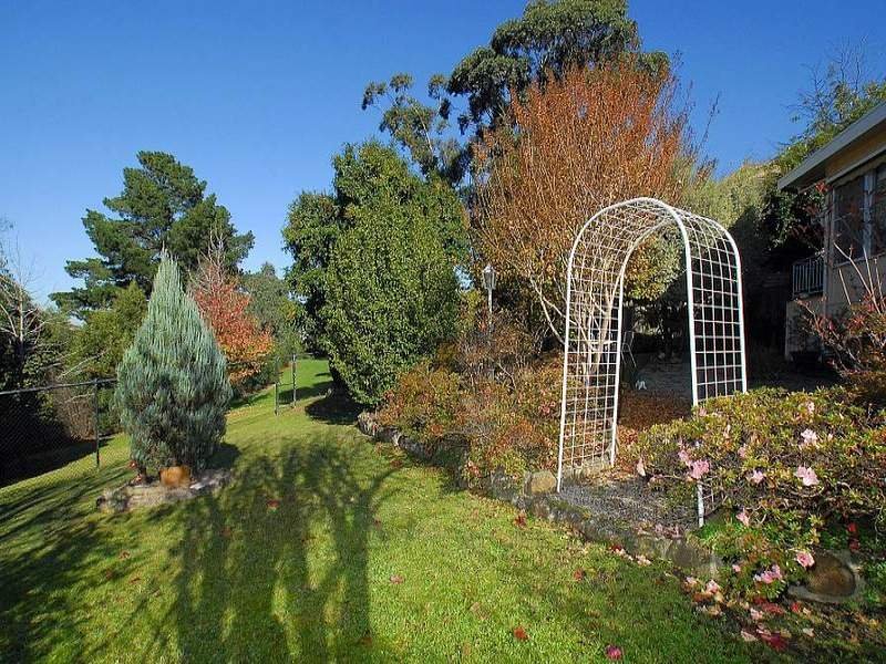40 Foch Street, Box Hill South image 5