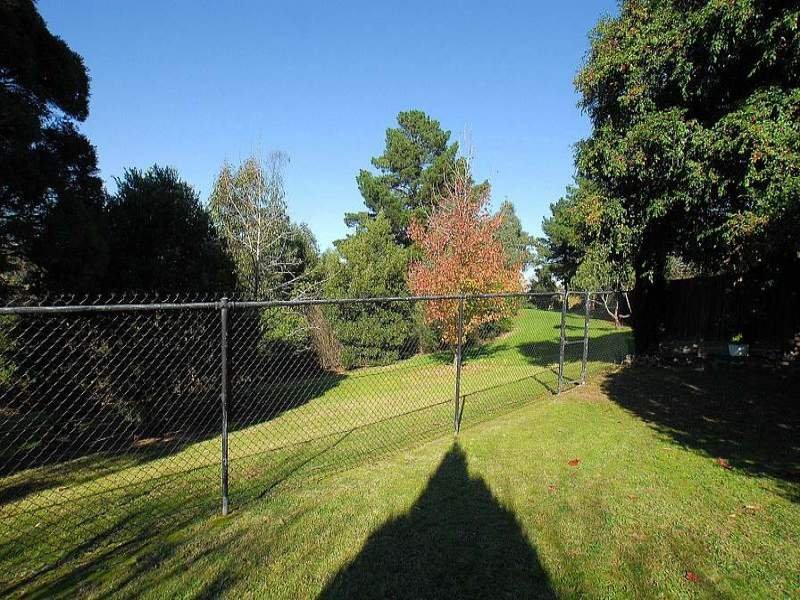 40 Foch Street, Box Hill South image 6