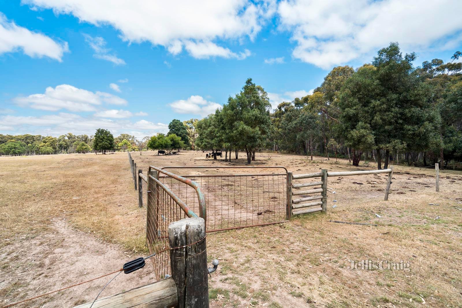 40 Junipers Road, Smythesdale image 10