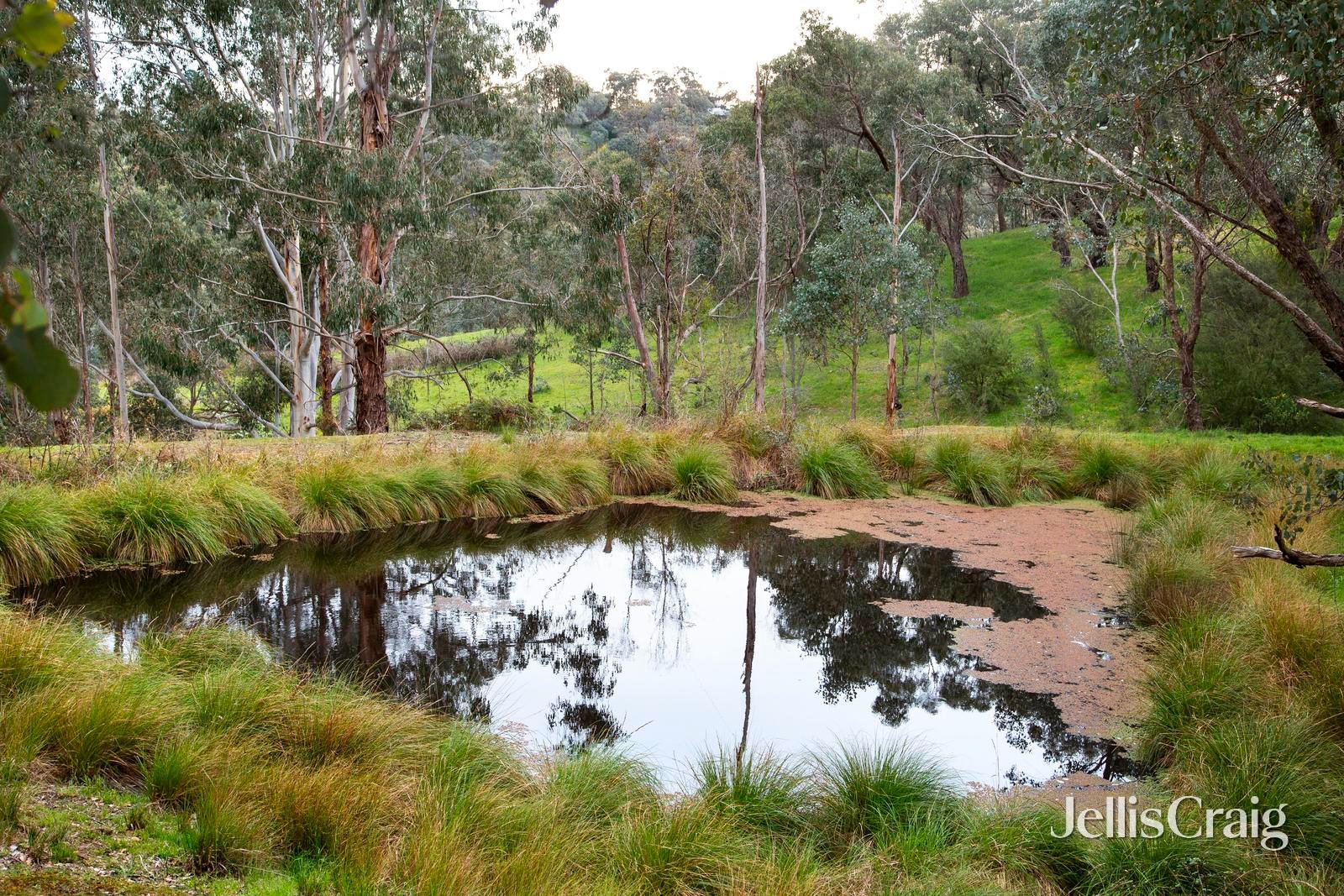 40 Moonlight Road, Kangaroo&nbsp;Ground image 18