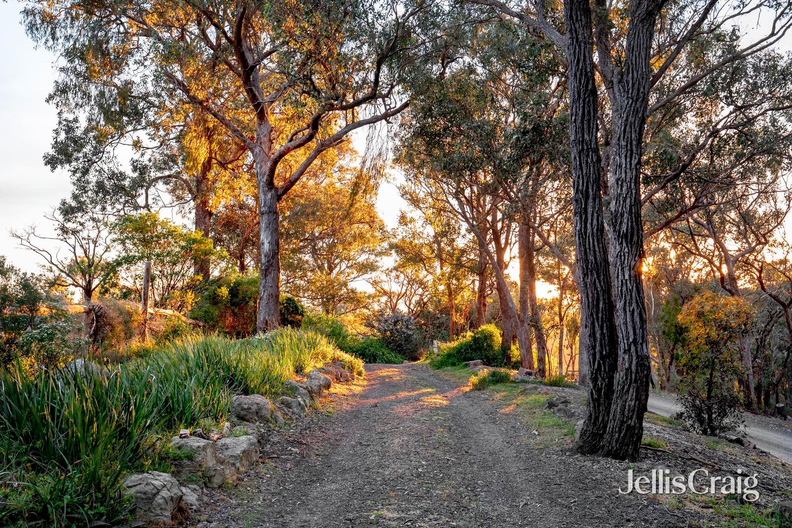 40 Moonlight Road, Kangaroo&nbsp;Ground image 20