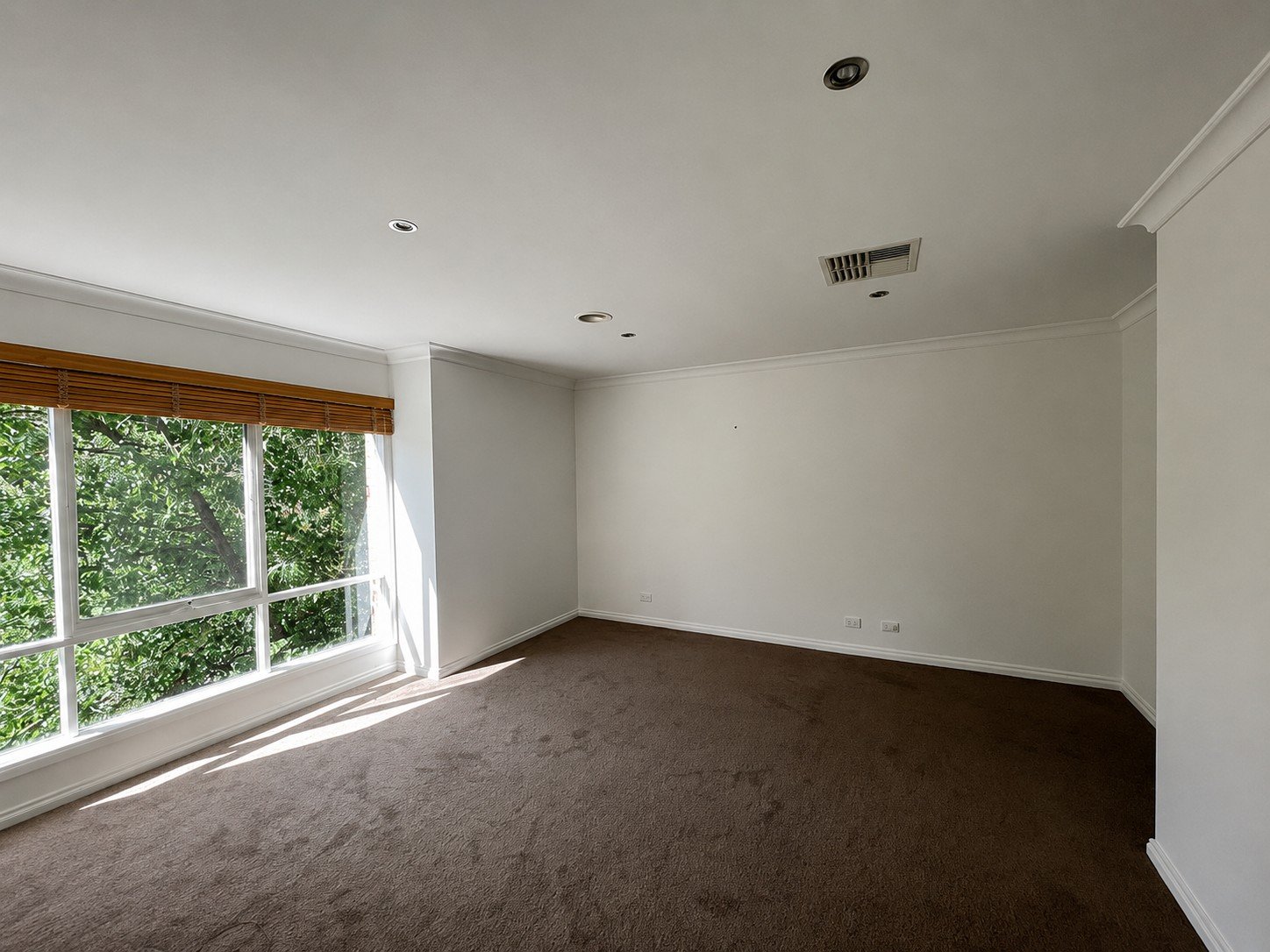40 Wright Street, Bentleigh image 5