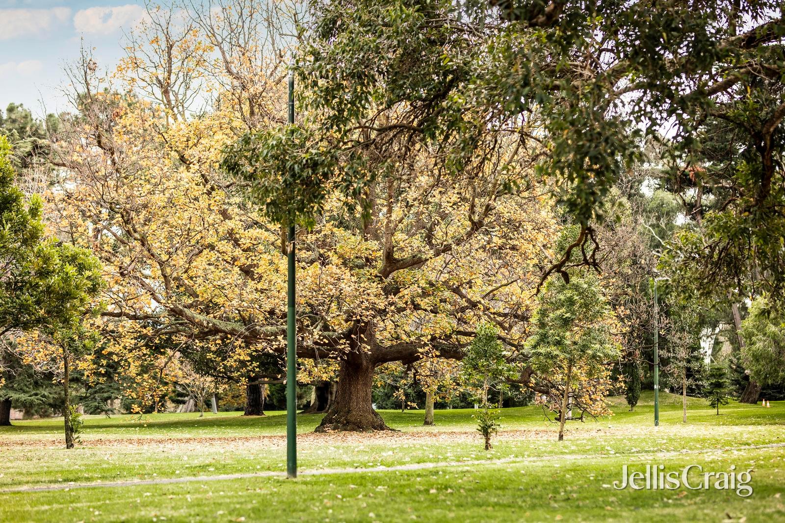 404/505 St Kilda Road, Melbourne image 11