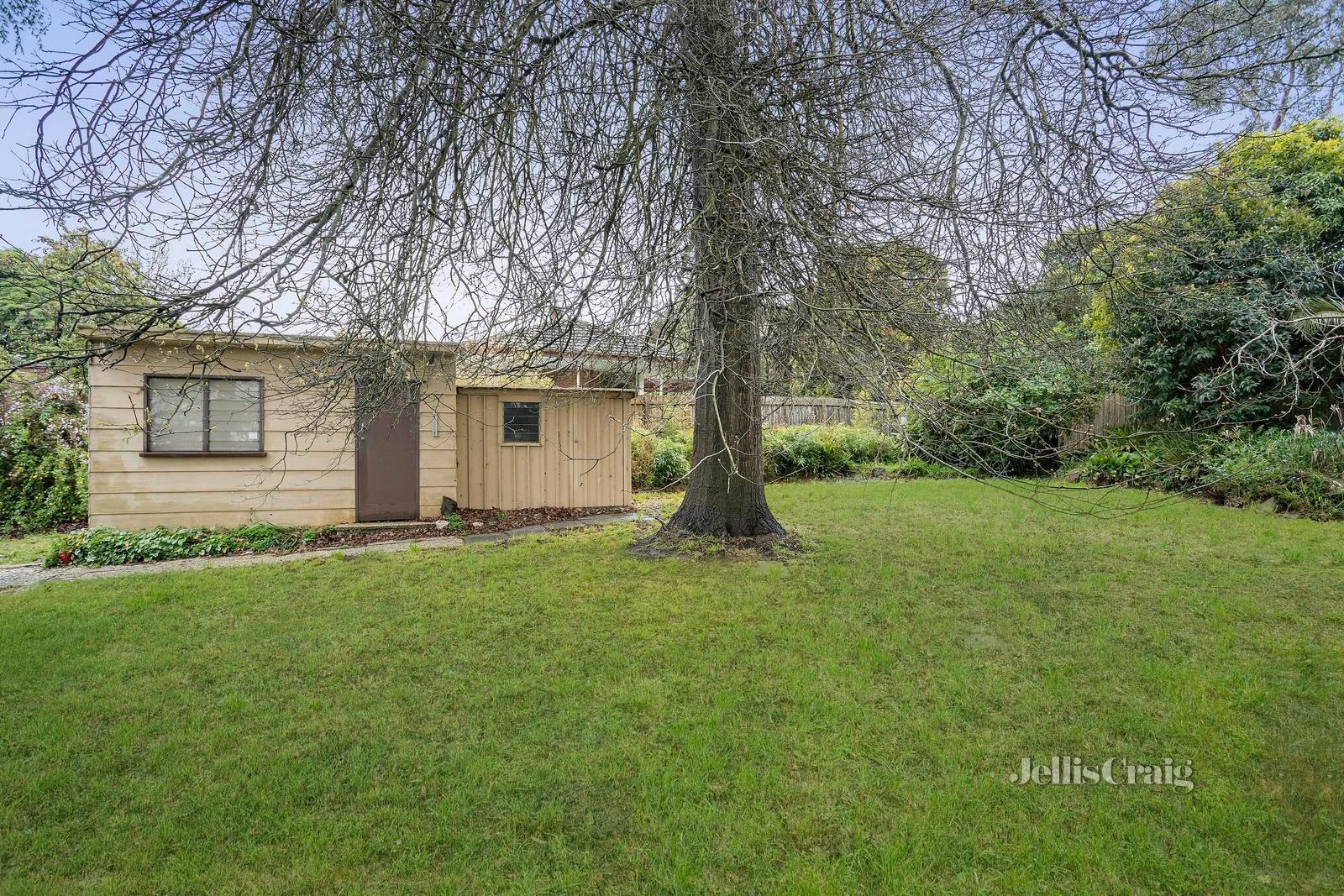 406 Canterbury Road, Ringwood East image 8