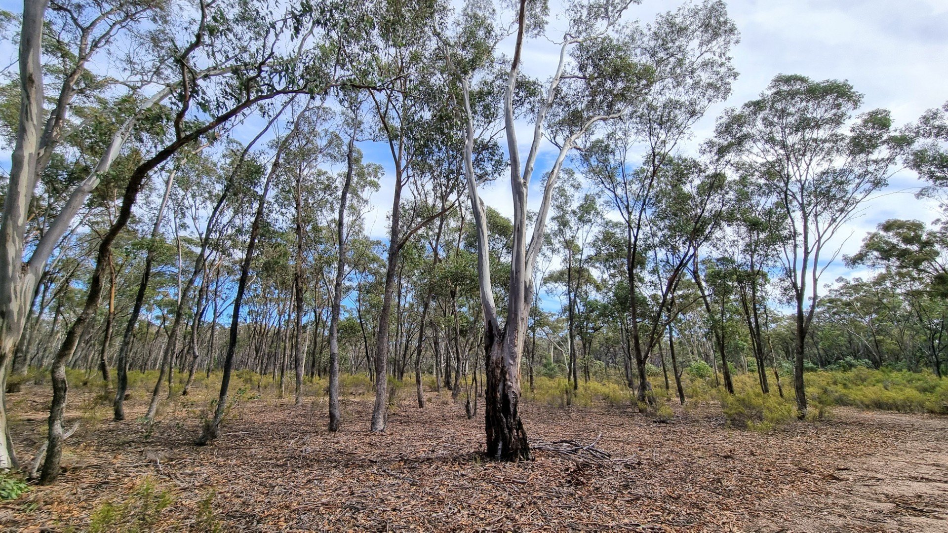 408 Sinclairs Lane, Walmer image 13