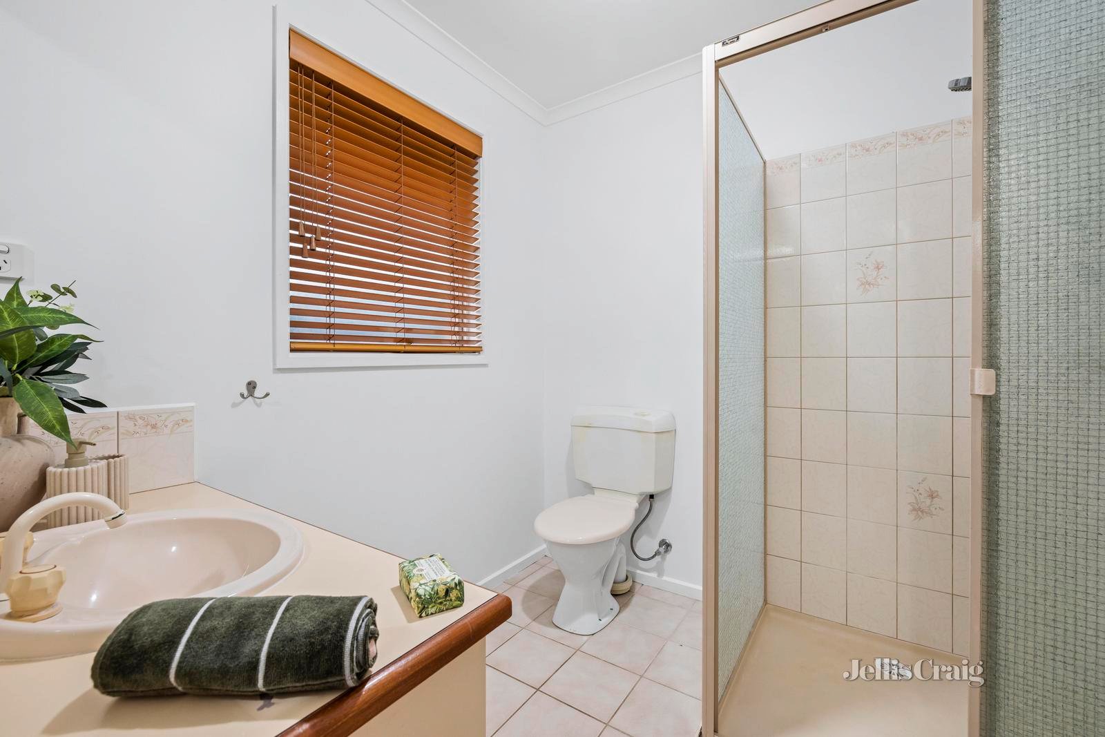 41 Alameda Avenue, Mornington image 9