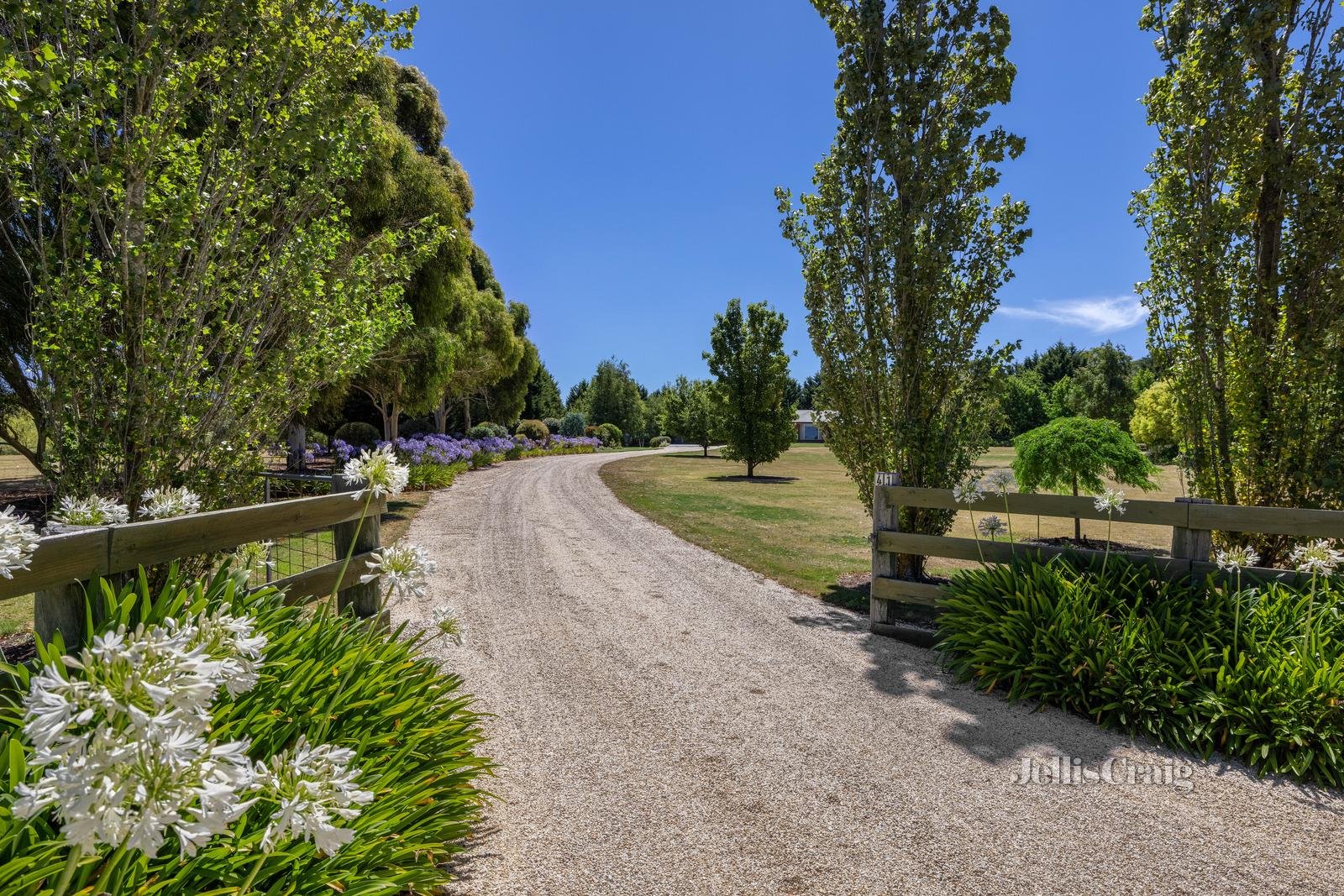 41 Anne Court, Smythes Creek image 3