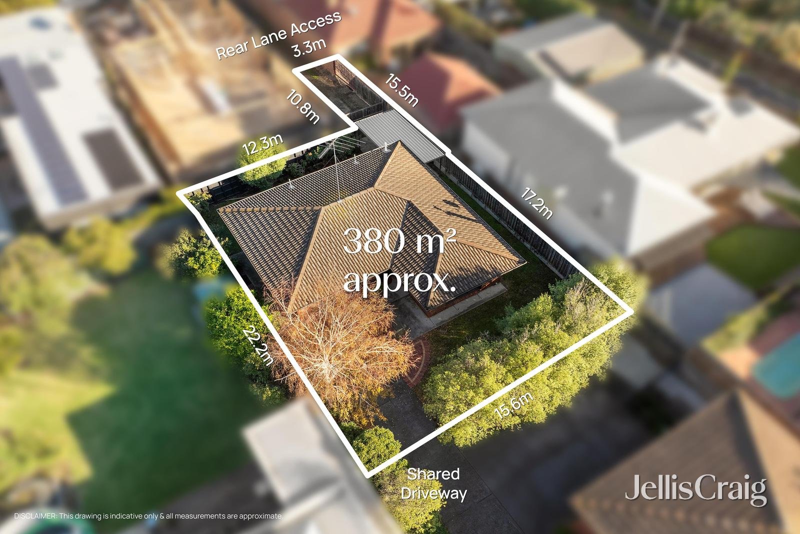 41 Austin Street, Newtown image 2