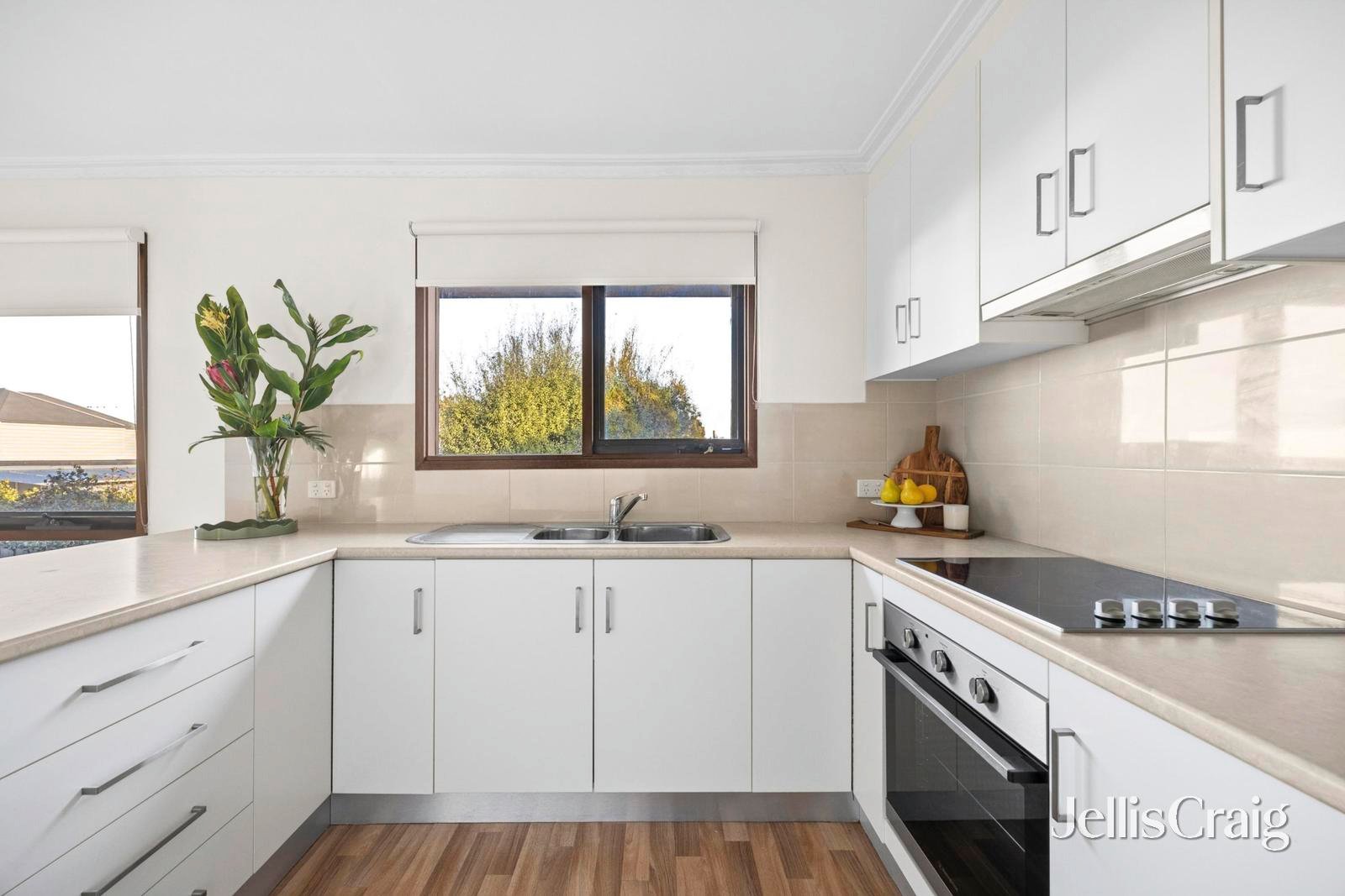 41 Austin Street, Newtown image 9