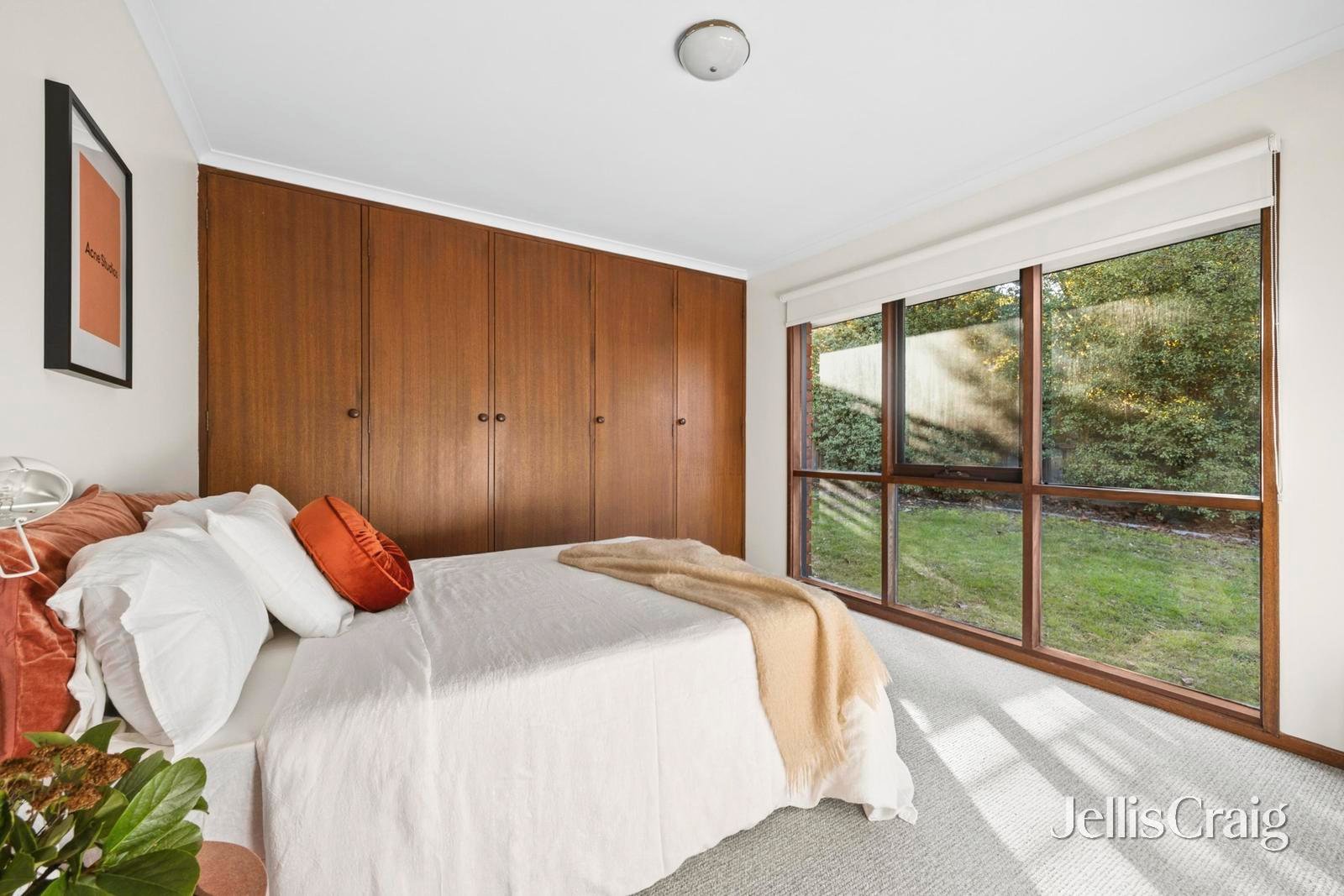 41 Austin Street, Newtown image 10