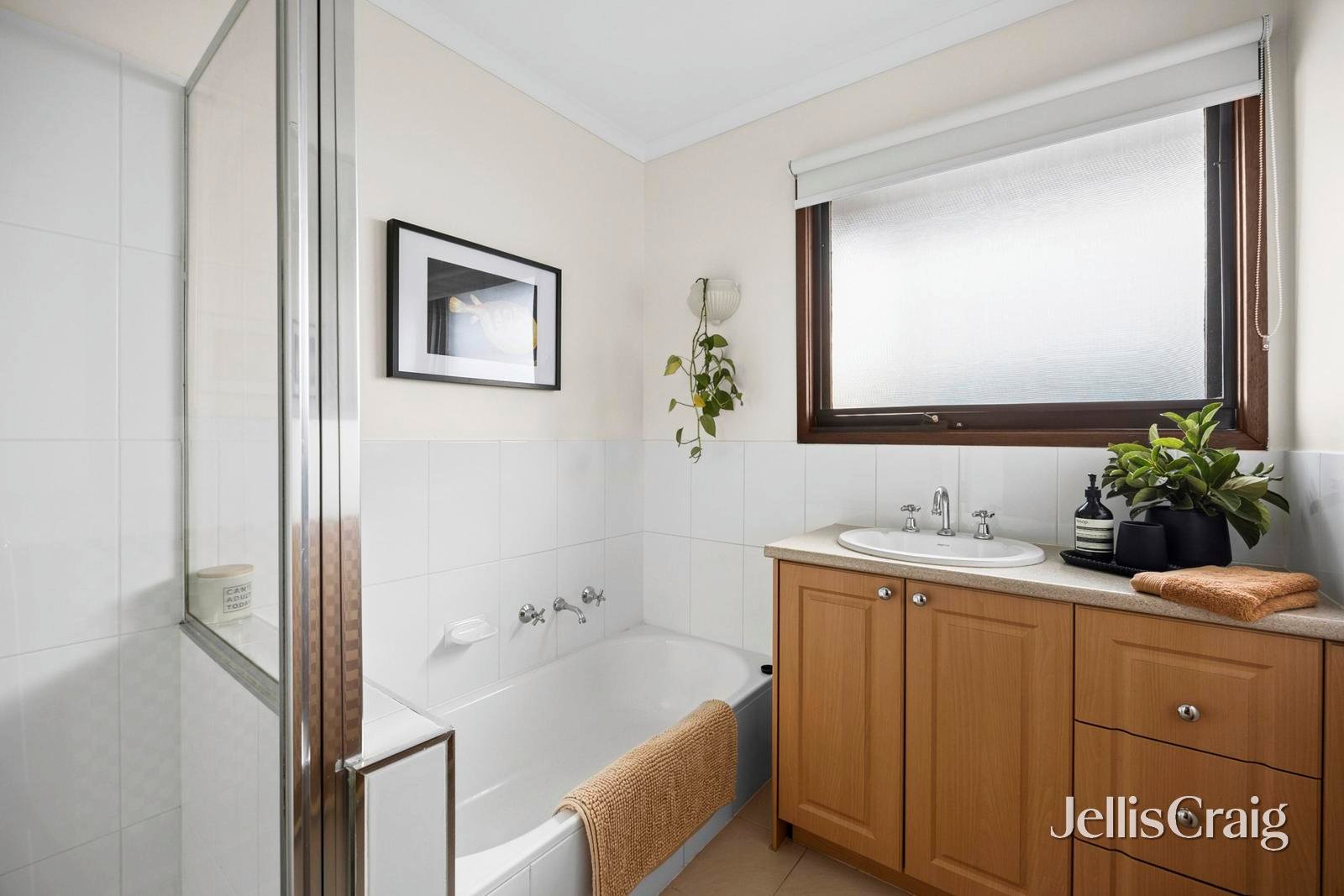41 Austin Street, Newtown image 12