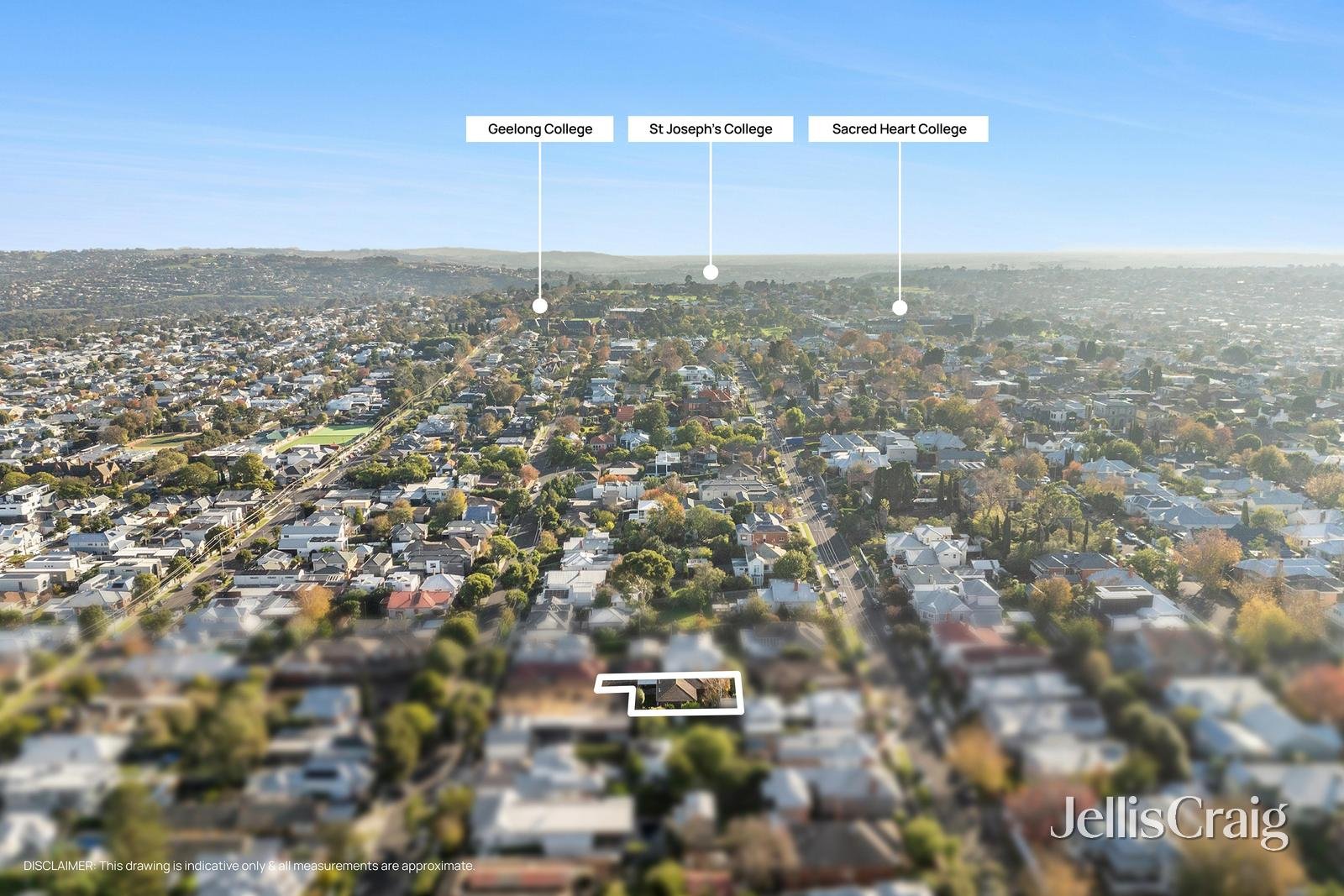41 Austin Street, Newtown image 17